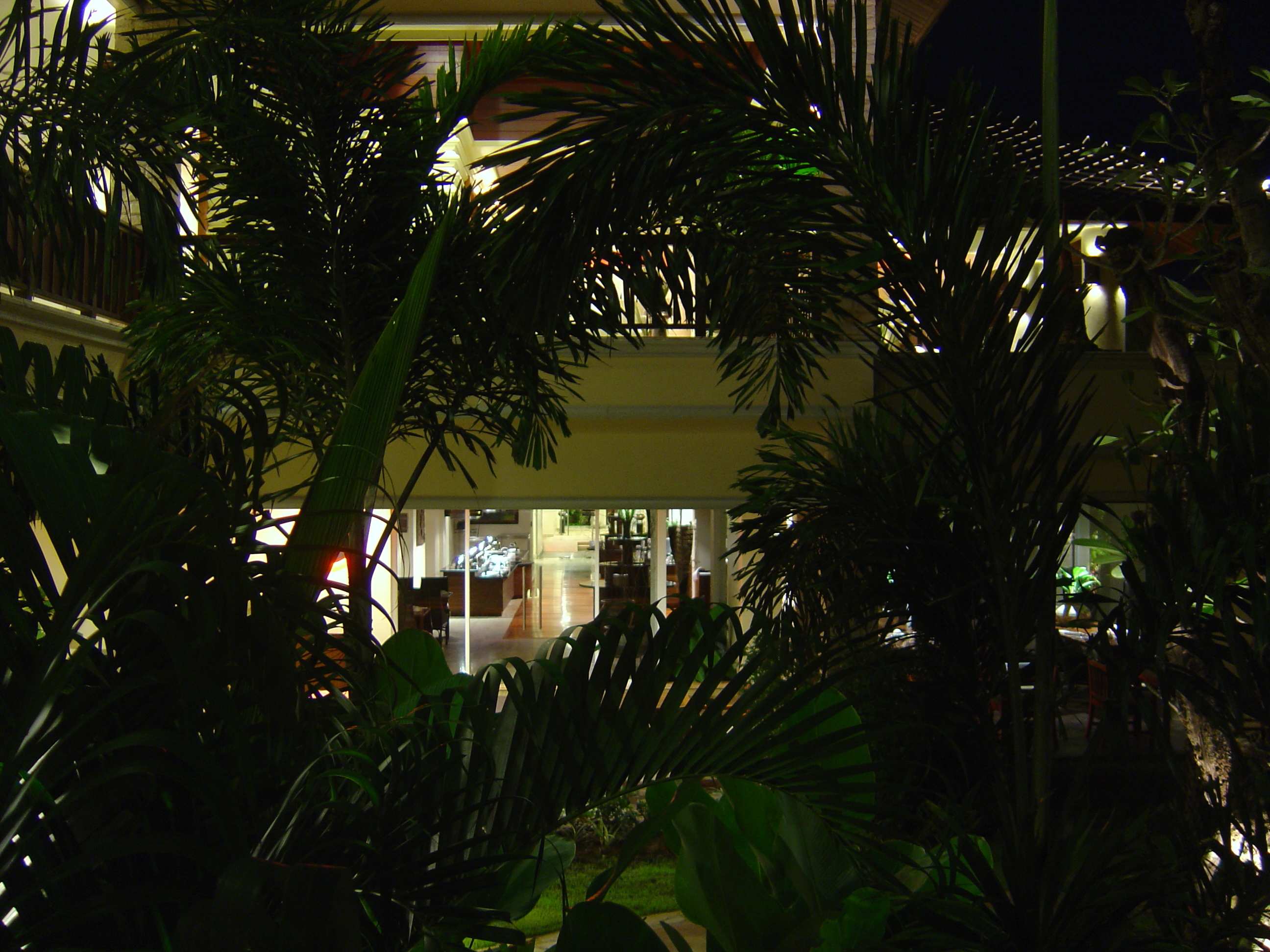 รูปถ่าย ไทย(Thailand) เขาหลัก(Khao Lak) โรงแรมเลอเมอริเดียน เขาหลัก(Meridien Khao Lak Hotel) สีสันกลางคืน(By Night) 2005-12 48