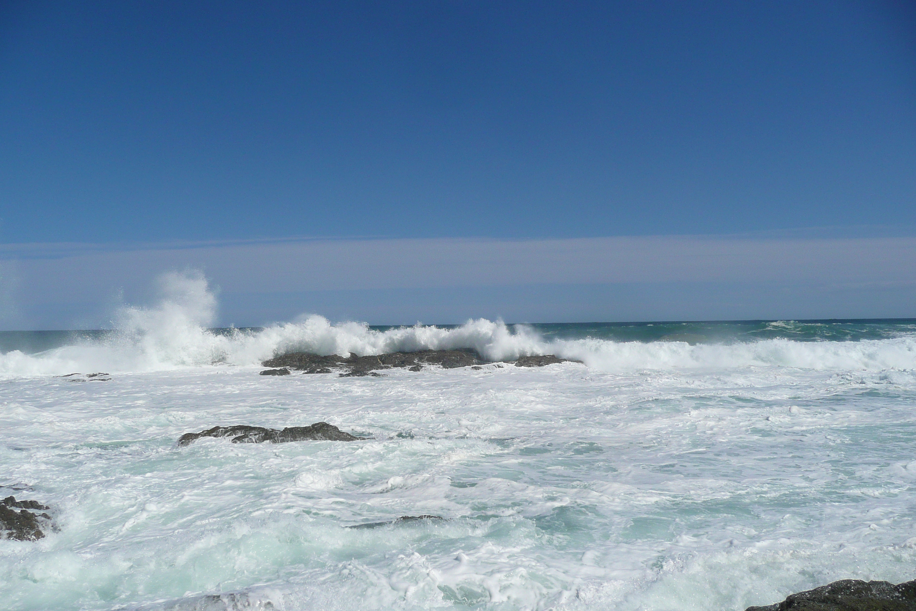 รูปถ่าย แอฟริกาใต้(South Africa) อุทยานแห่งชาติซิตซิคัมมา(Tsitsikamma National Park) 2008-09 89