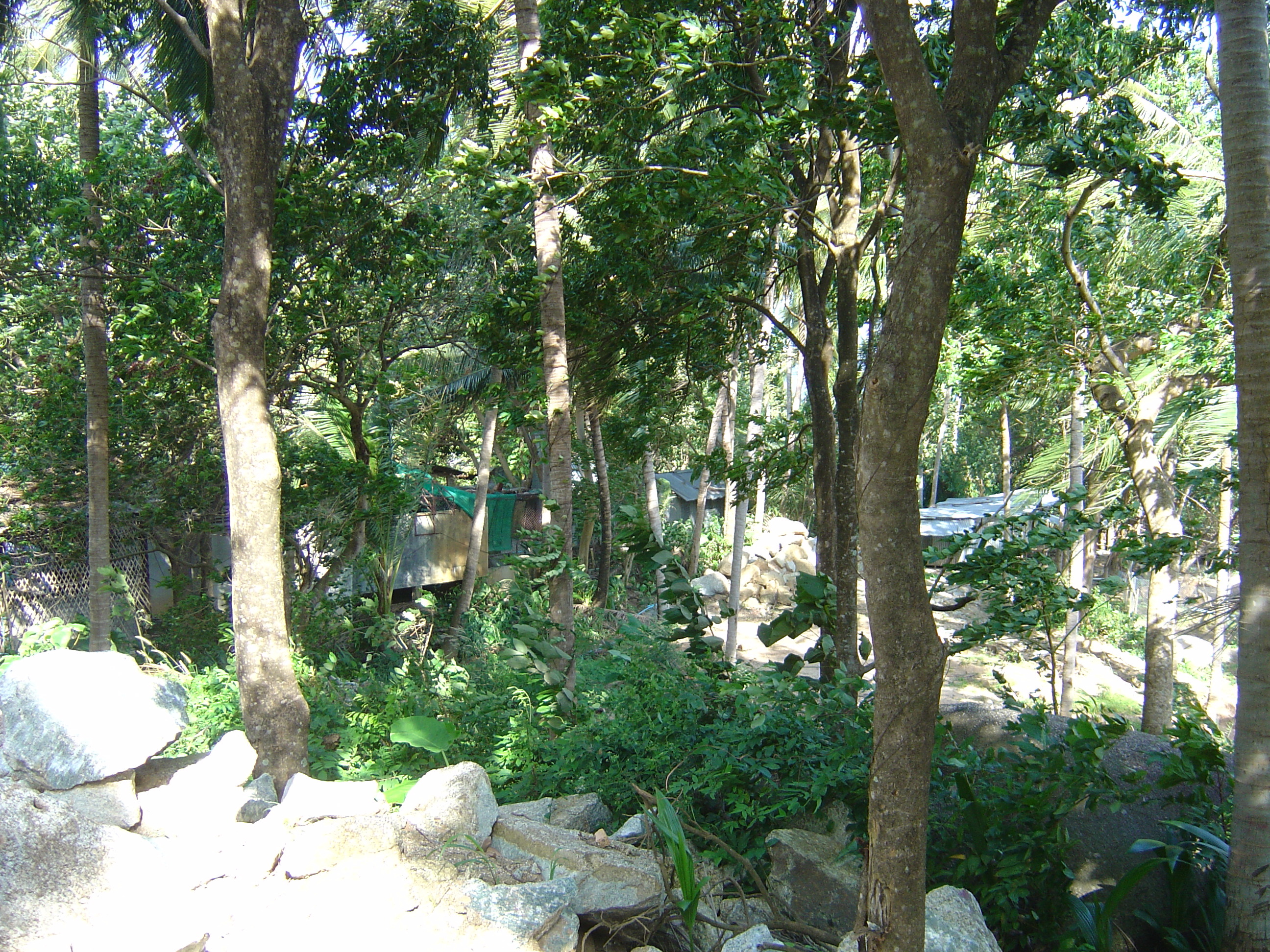 รูปถ่าย ไทย(Thailand) ภูเก็ต(Phuket) กะตะกะรน(Kata Karon) 2005-12 0