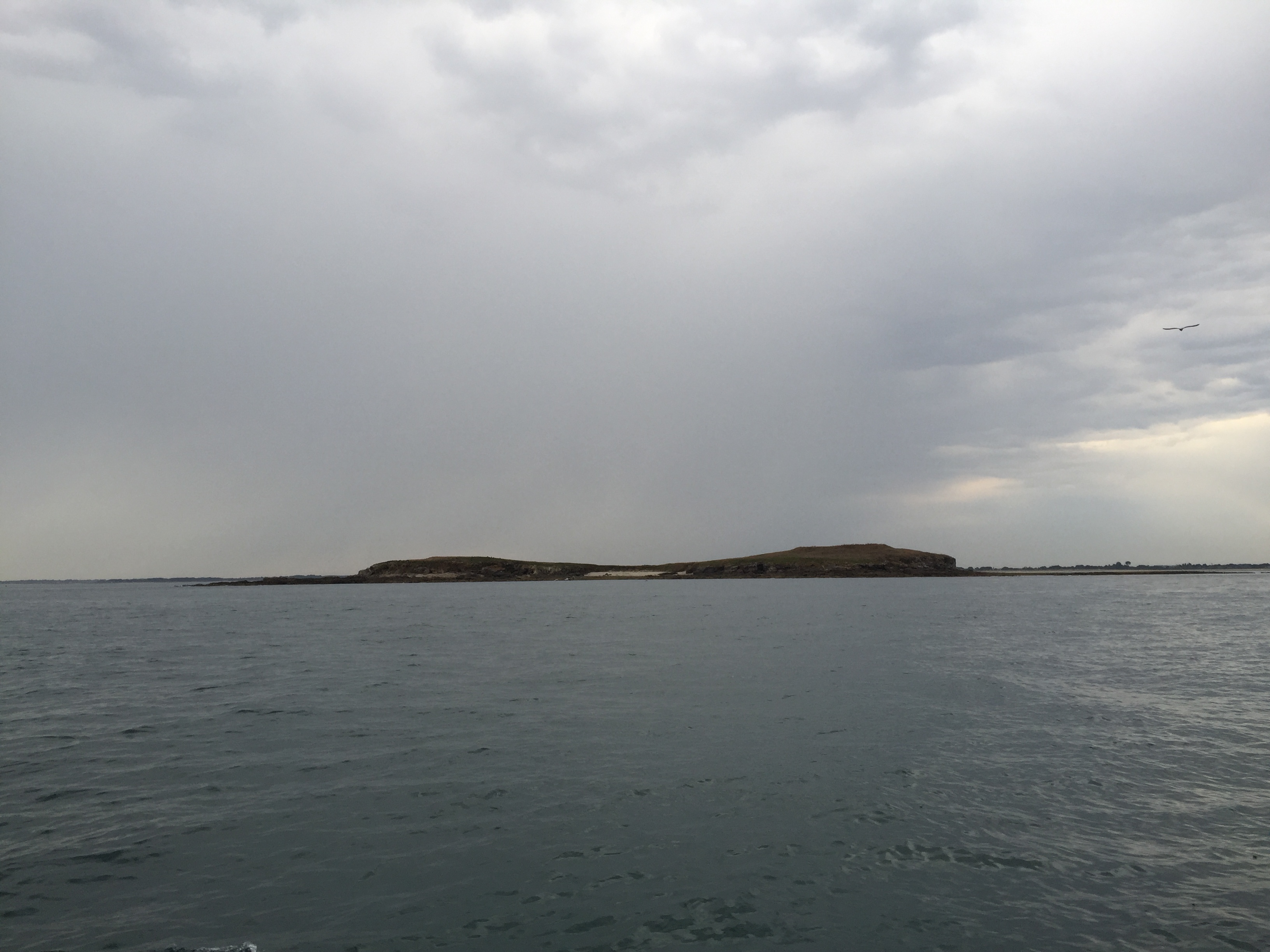 รูปถ่าย ฝรั่งเศส(France) อ่าวมอร์บีอ็อง(Golfe du Morbihan) 2016-08 25