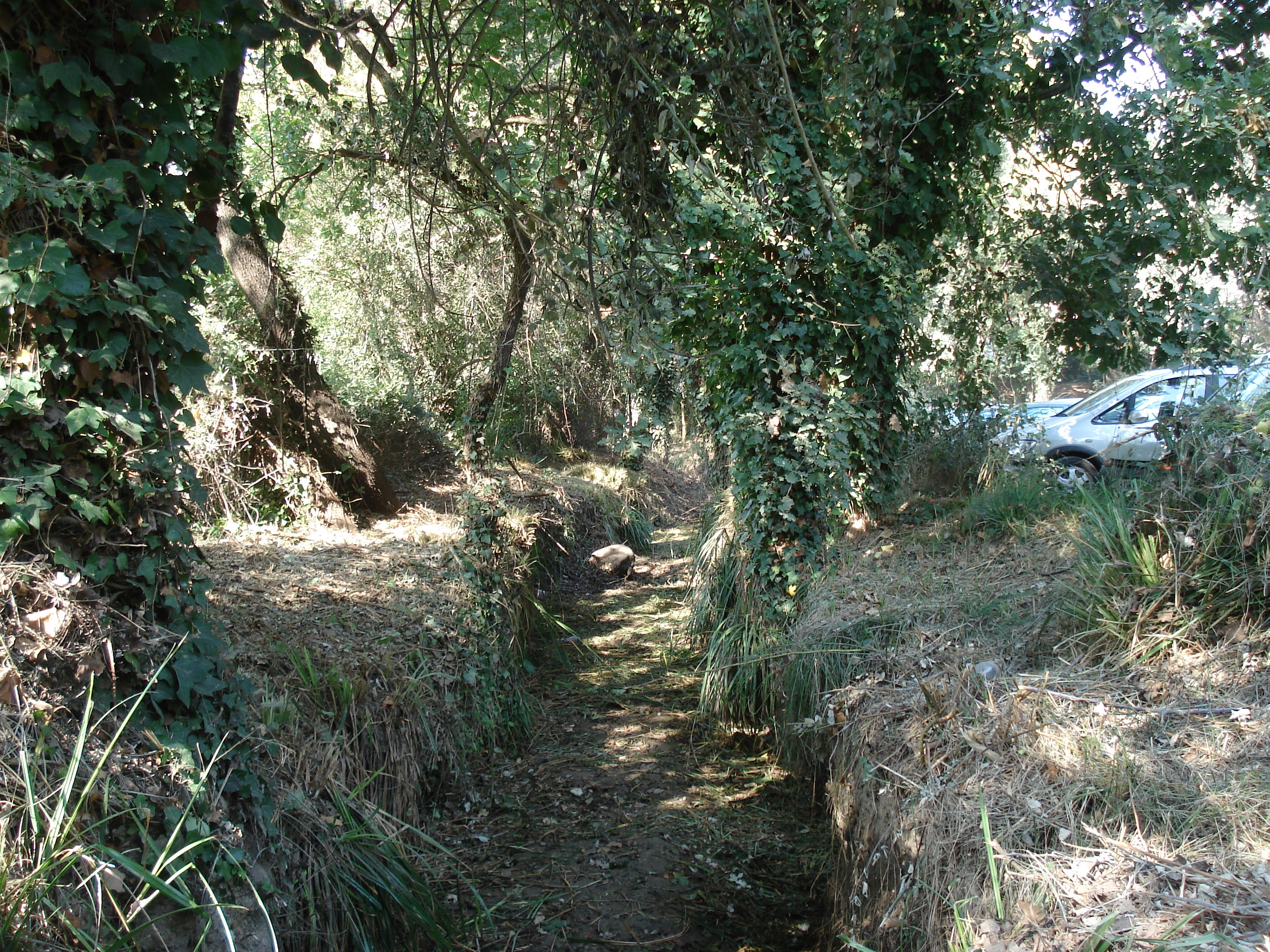 รูปถ่าย ฝรั่งเศส(France) วีลเนิฟ-ลูแบ(Villeneuve Loubet) สวนโวเกรอนีเย(Parc de Vaugrenier) 2006-09 7