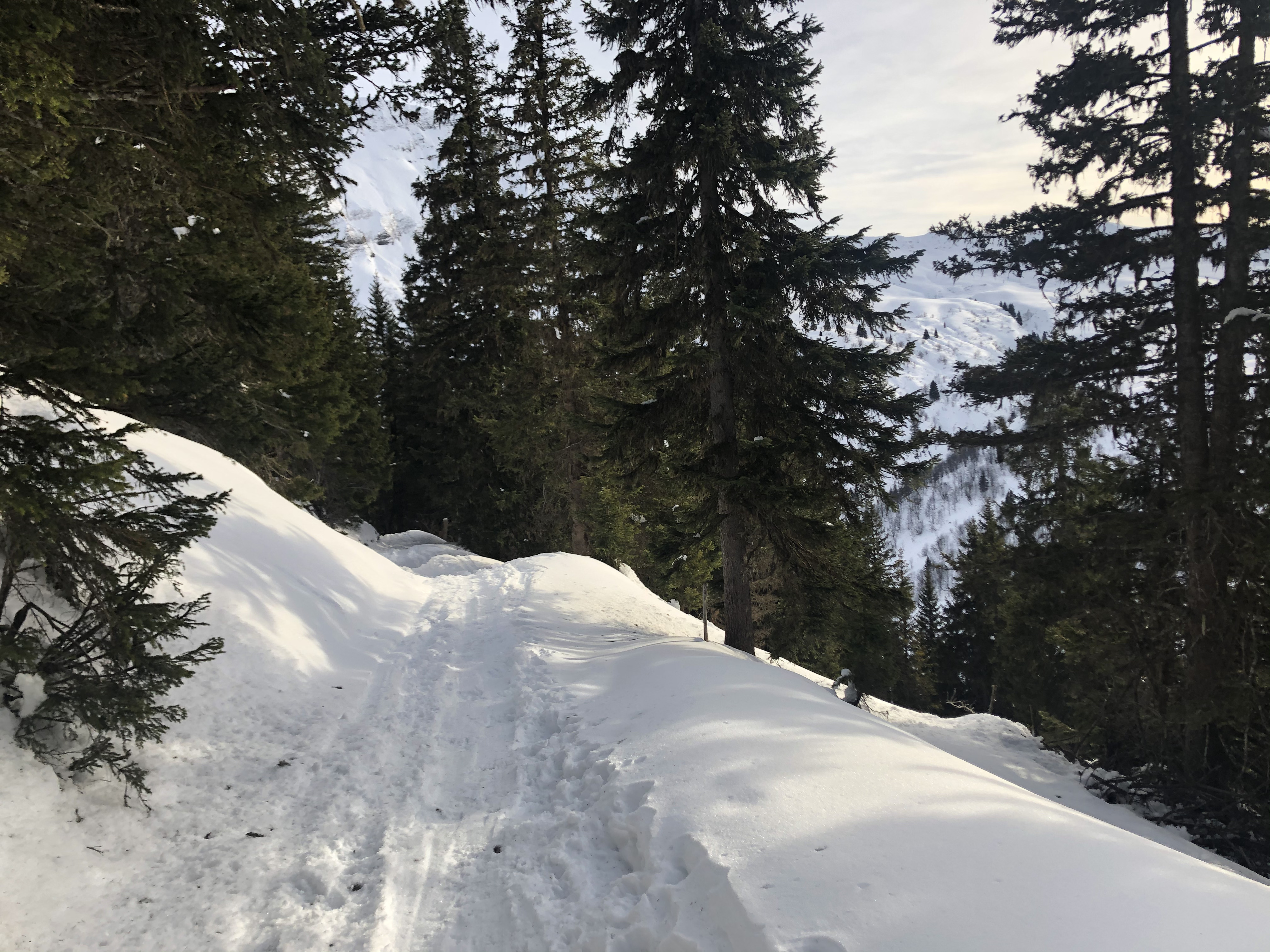 รูปถ่าย ฝรั่งเศส(France) ปรา-ซูร์-อาร์ลี(Praz sur Arly) 2019-12 262