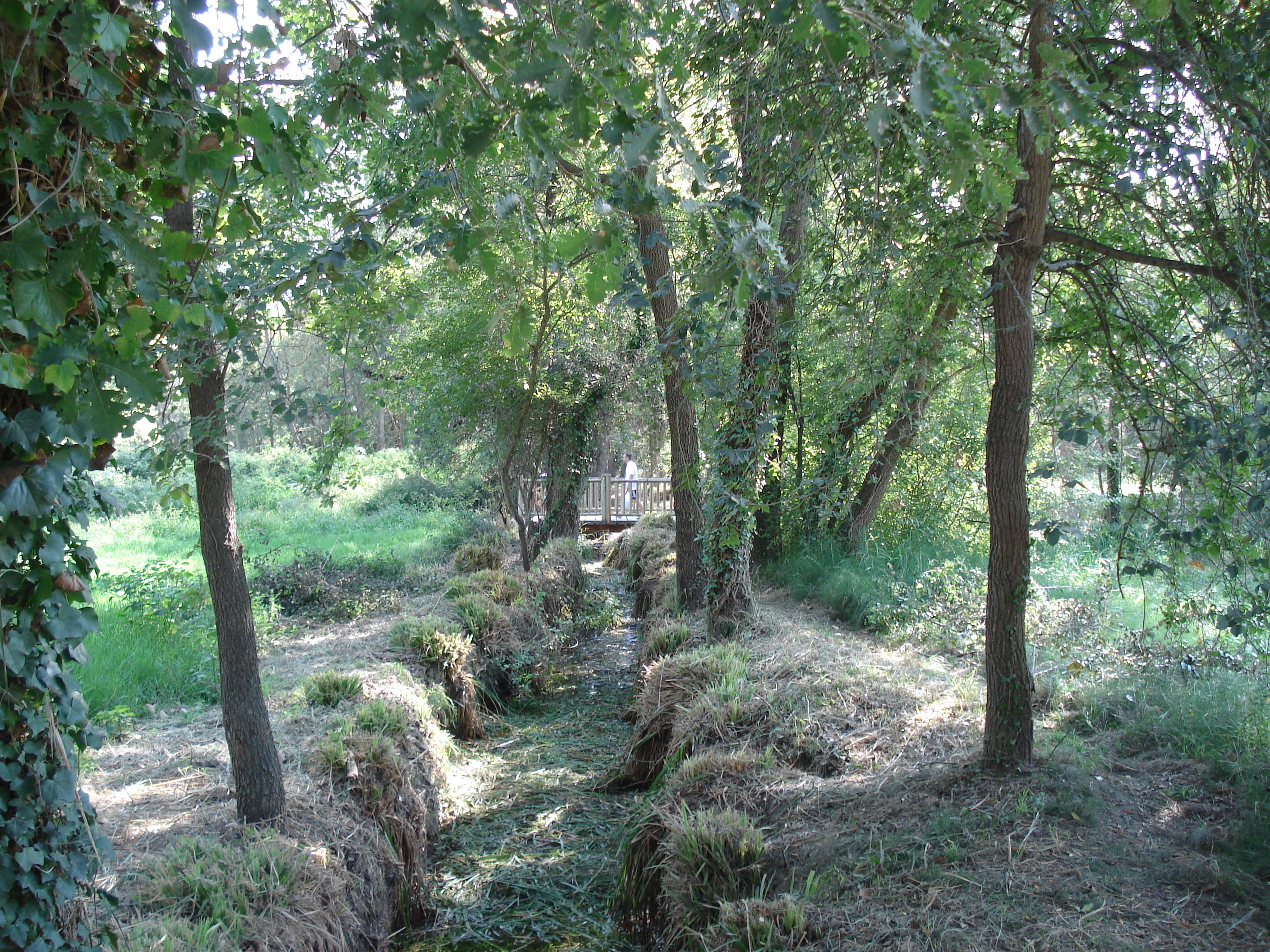 รูปถ่าย ฝรั่งเศส(France) วีลเนิฟ-ลูแบ(Villeneuve Loubet) สวนโวเกรอนีเย(Parc de Vaugrenier) 2006-09 4
