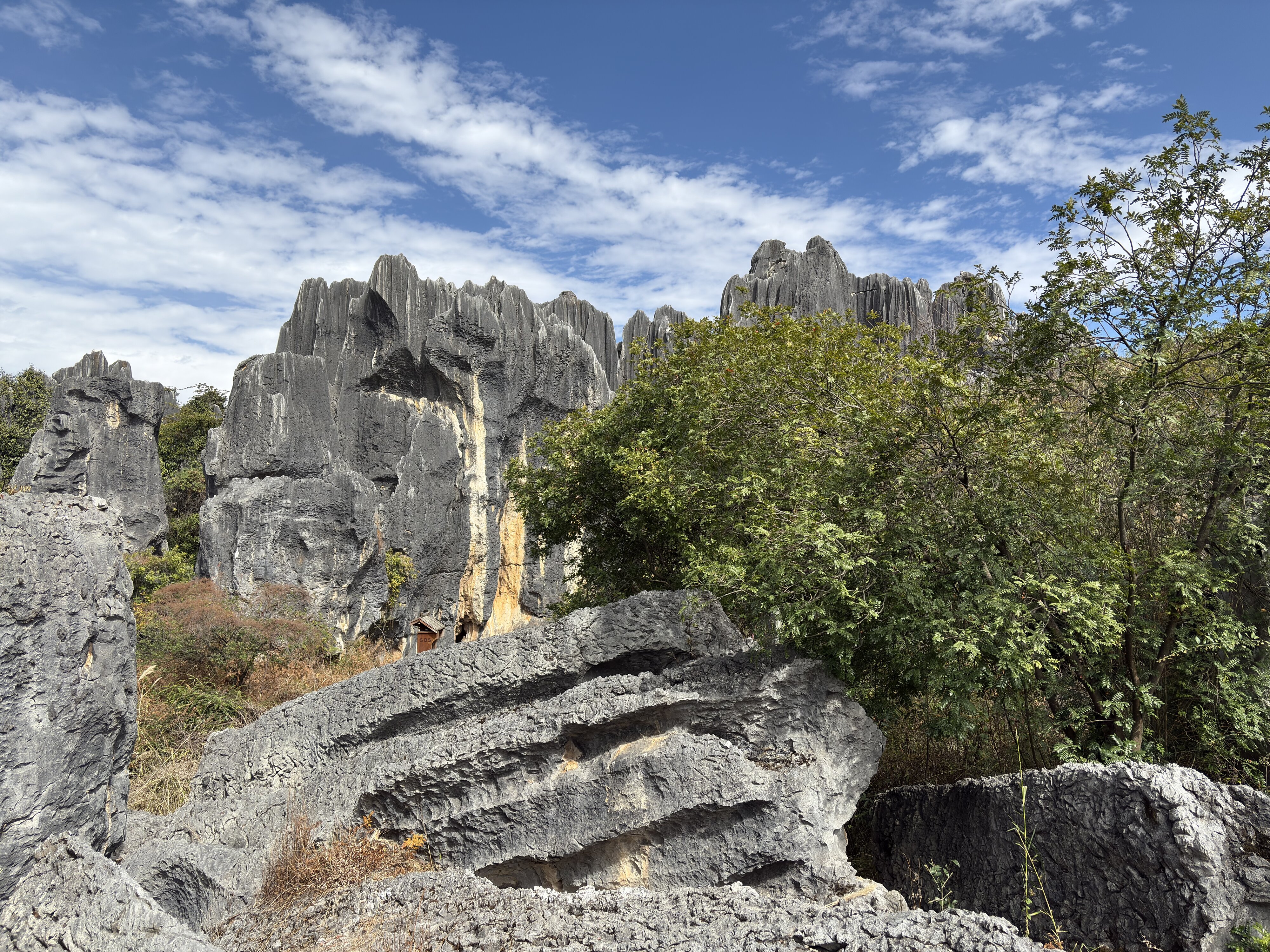 รูปถ่าย จีน(China) ป่าหินสือหลิน(Shilin Stone Forest) 2026-01 177