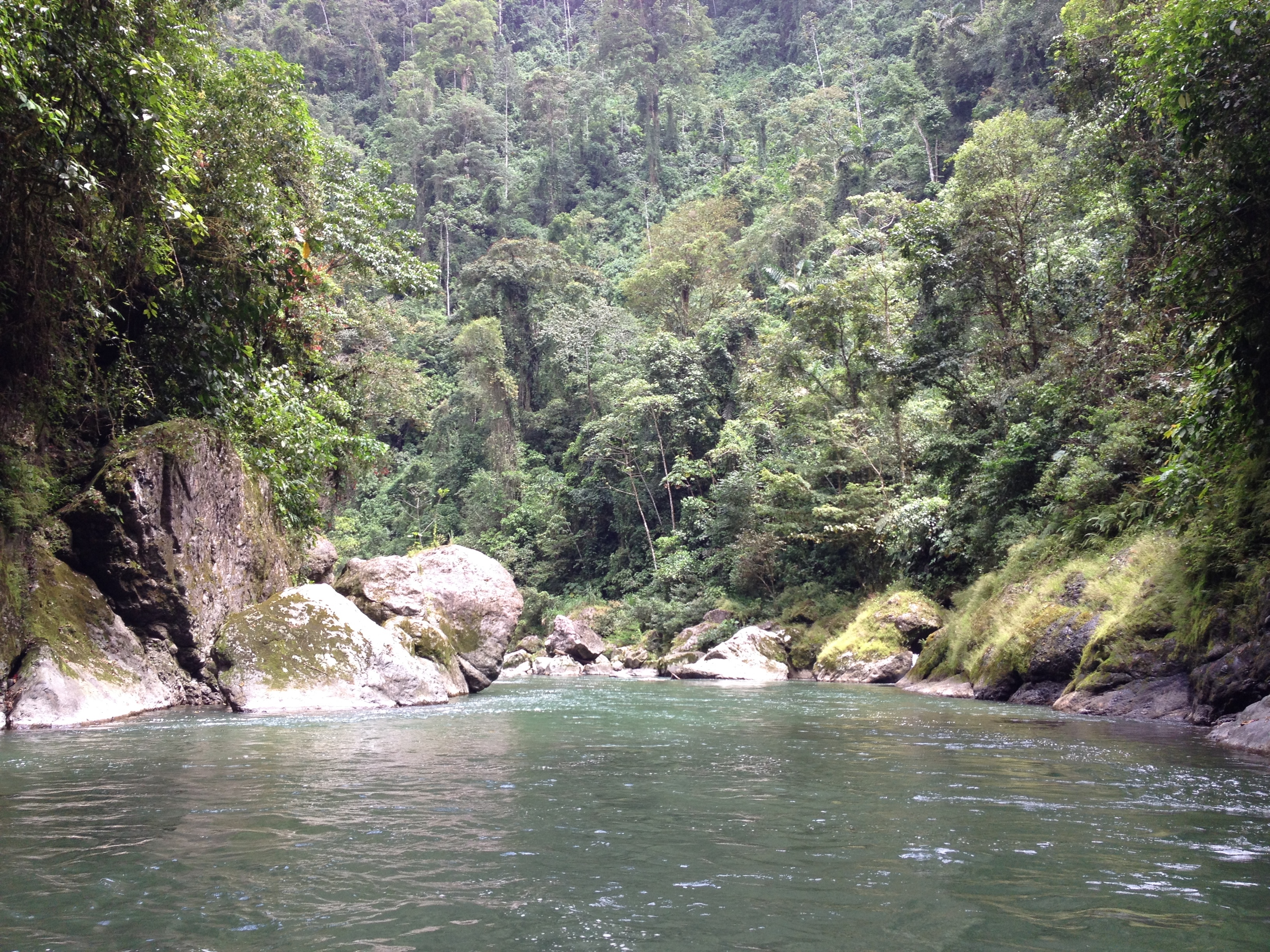 รูปถ่าย คอสตาริกา(Costa Rica) แม่น้ำปากัวเร(Pacuare River) 2015-03 131
