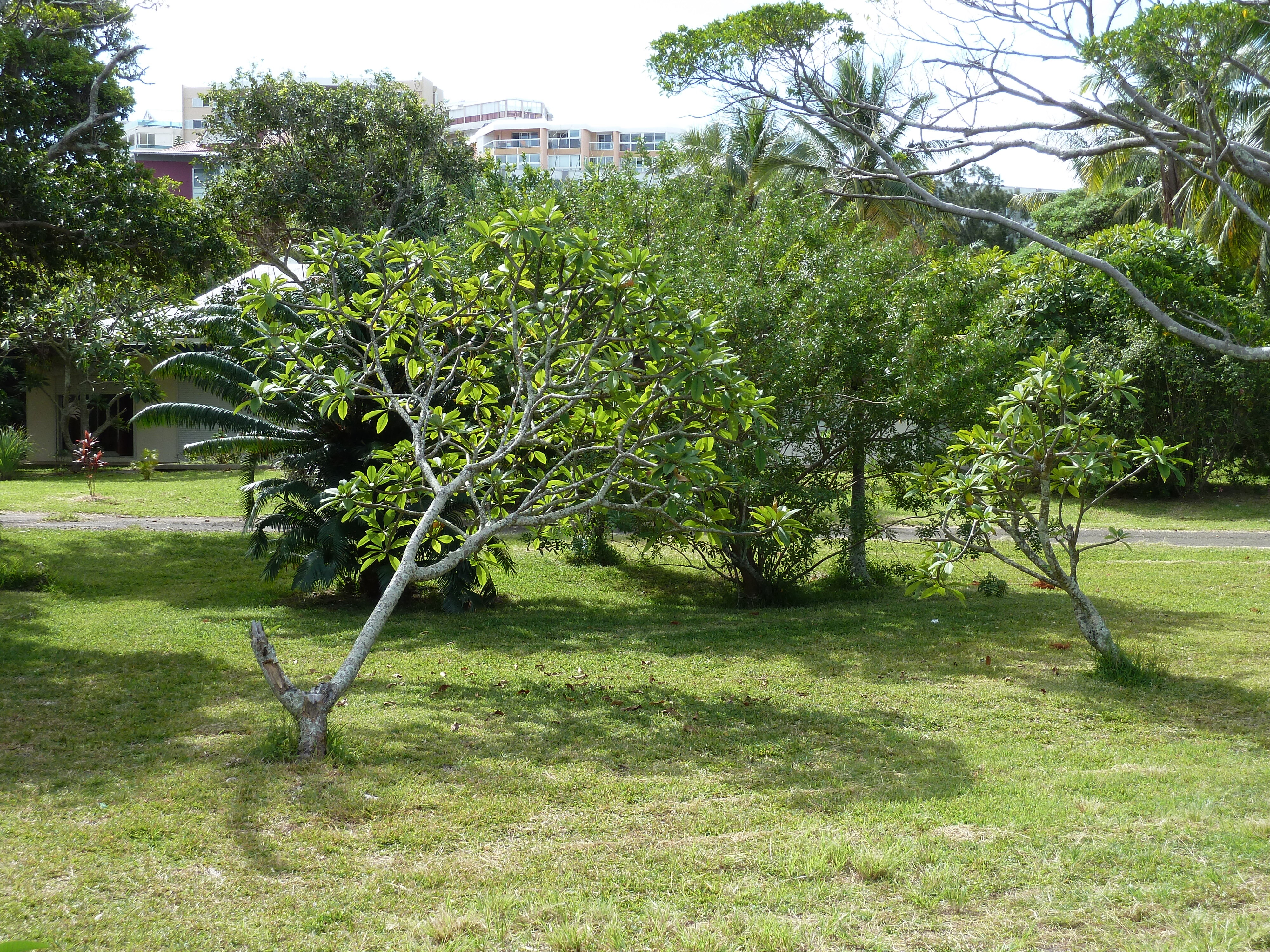 รูปถ่าย นิวแคลิโดเนีย(New Caledonia) นูเมอา(Noumea) อ่าวอ็องส์วาตา(Anse Vata) 2010-05 22