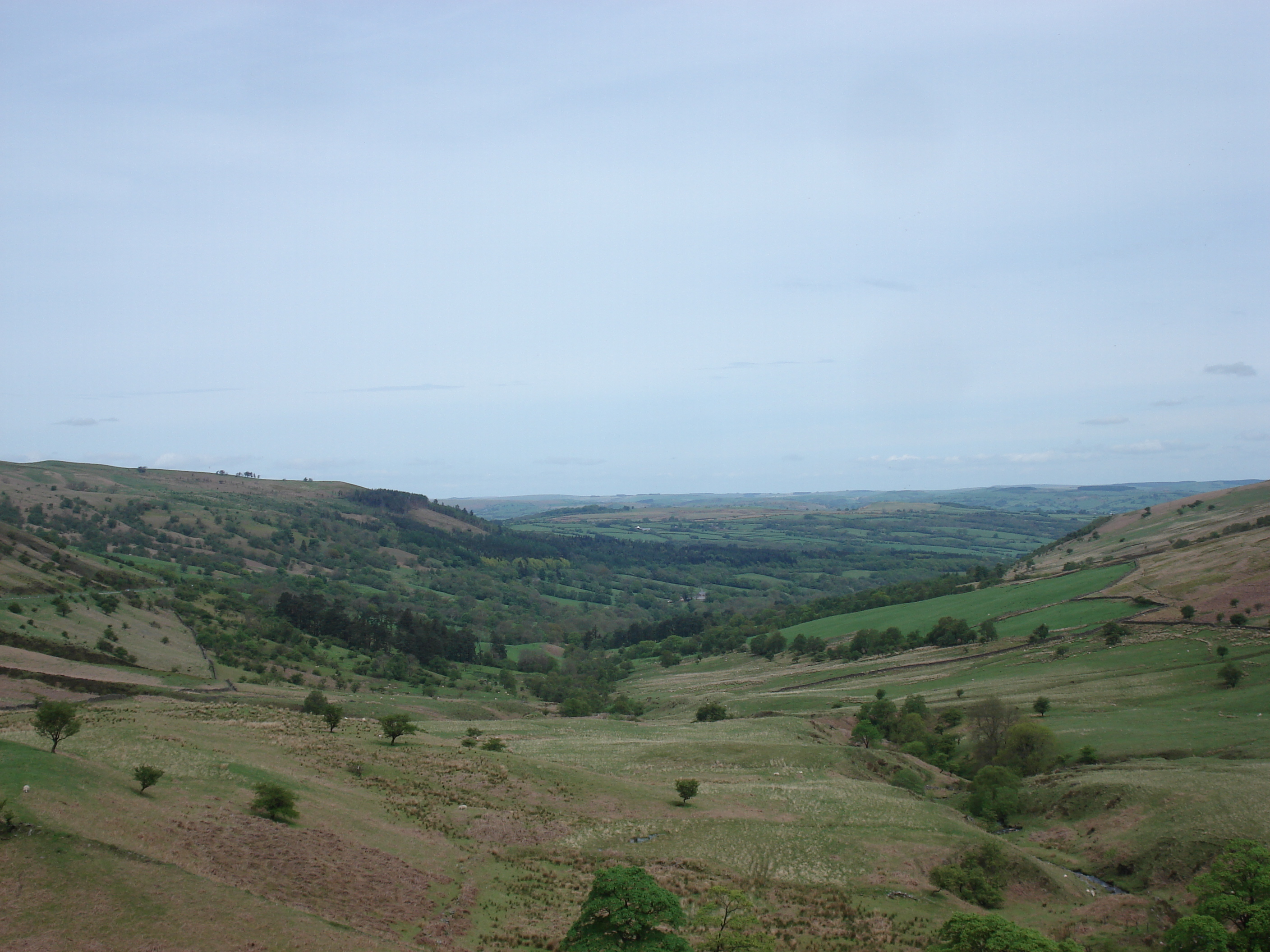 รูปถ่าย อังกฤษ(United Kingdom) อุทยานแห่งชาติเบรคอนบีคอนส์(Brecon Beacons National Park) 2006-05 9