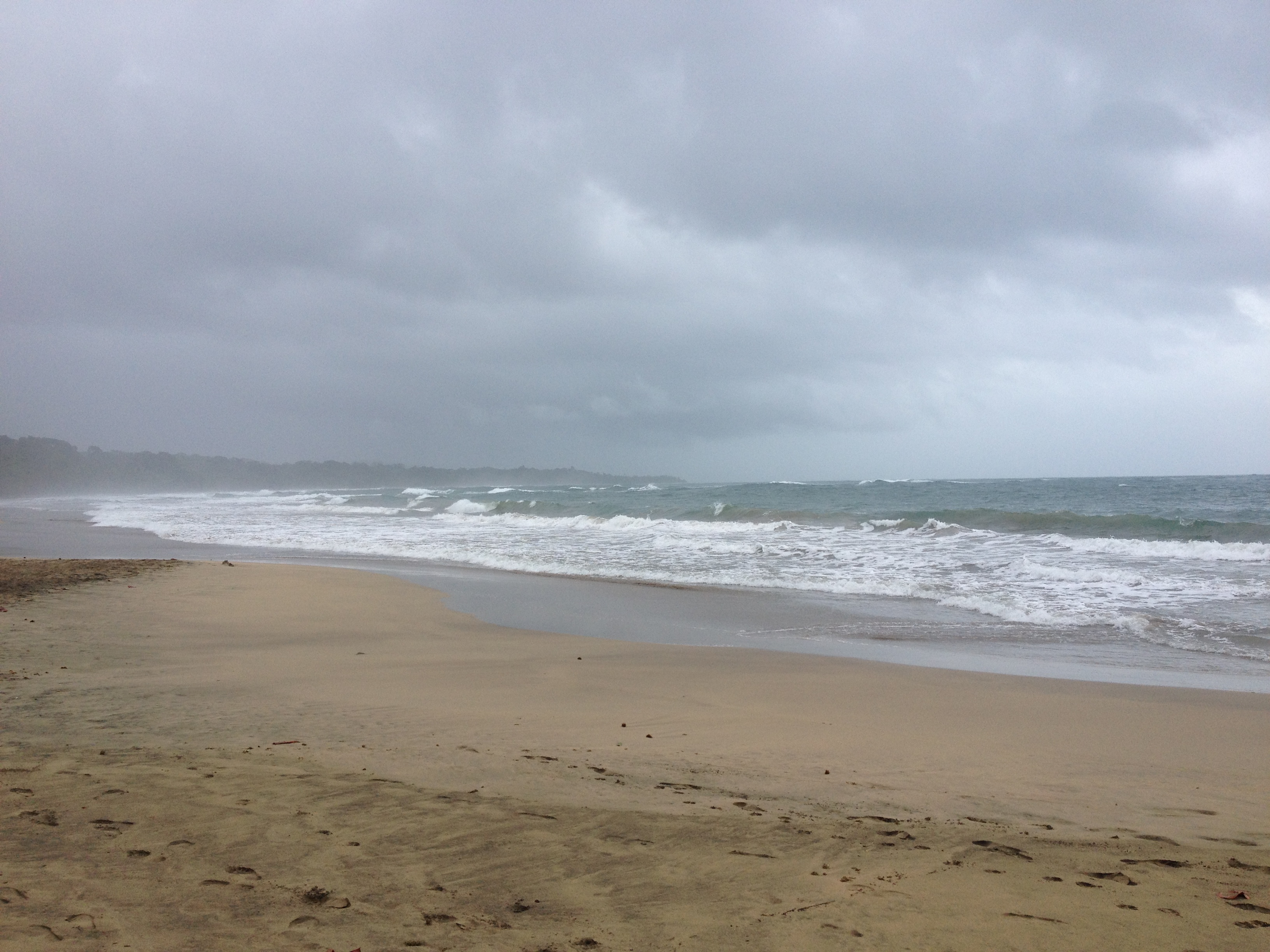 รูปถ่าย คอสตาริกา(Costa Rica) ปวยร์โตเบียโฆเดตาลามังกา(Puerto Viejo de Talamanca) 2015-03 63