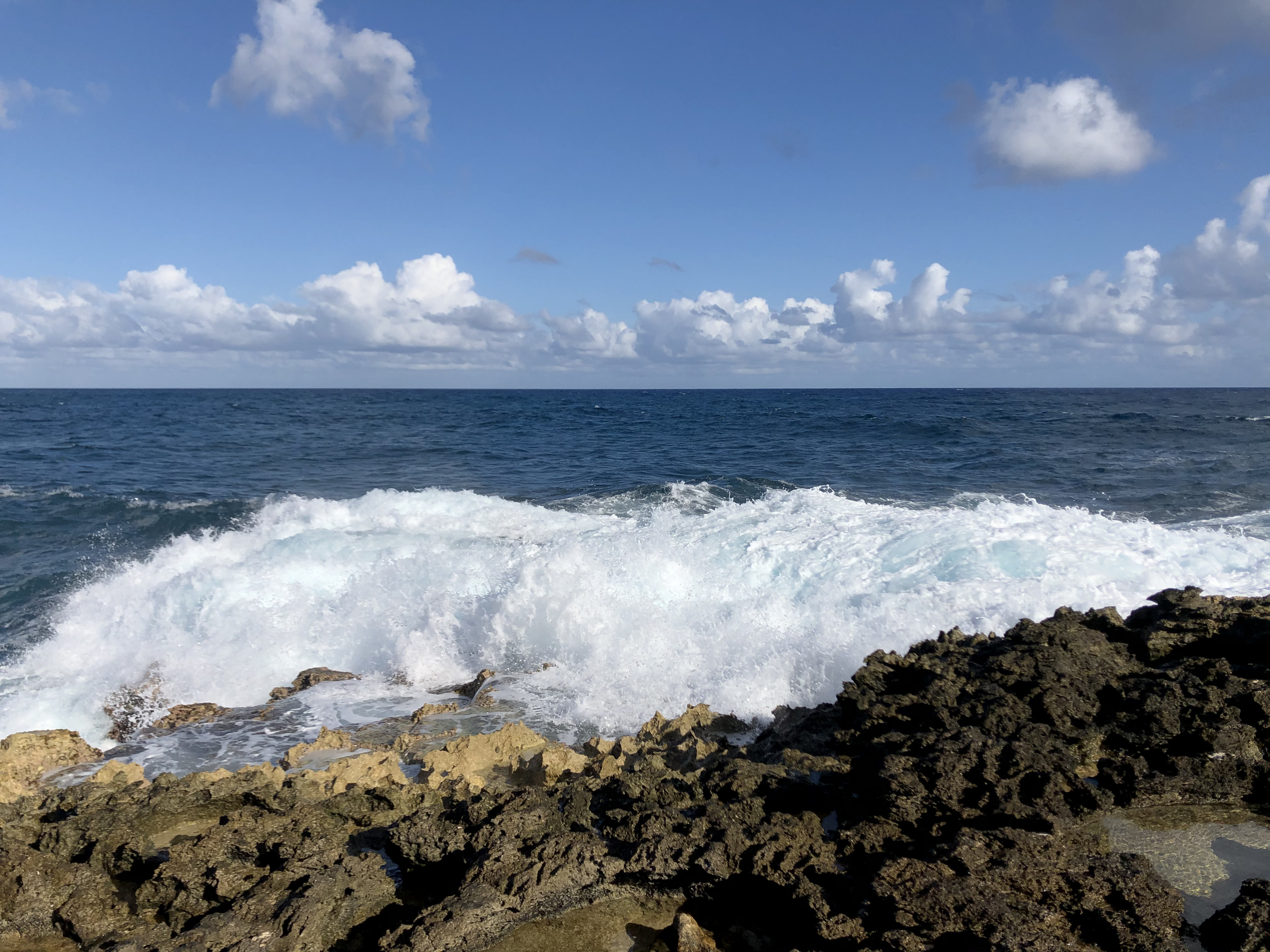 รูปถ่าย กวาเดอลูป(Guadeloupe) แหลมคาสเซิลพอยต์(Castle Point) 2021-02 282