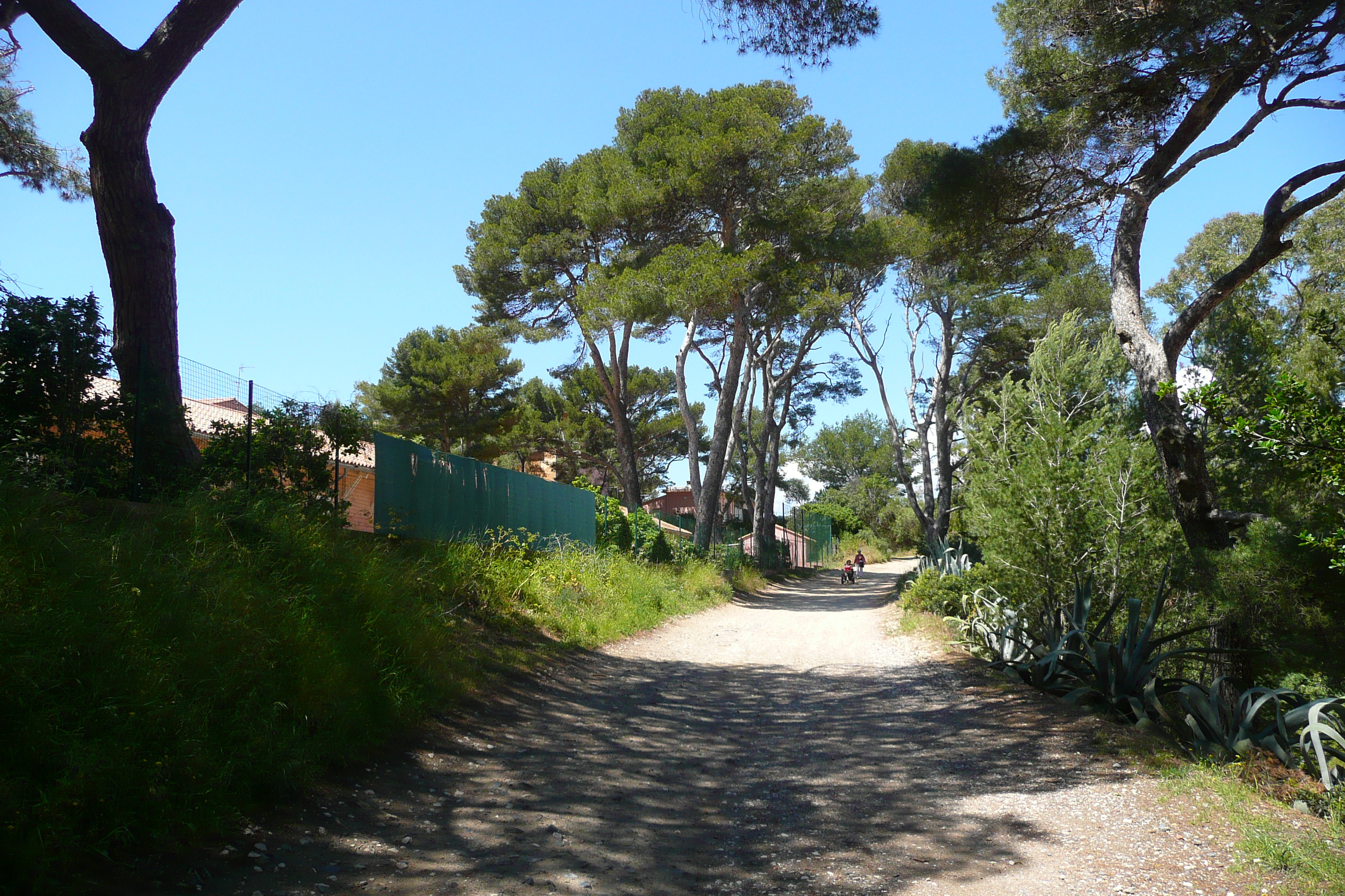 รูปถ่าย ฝรั่งเศส(France) เกาะปอร์เกอรอล(Porquerolles Island) แหลมแบร์ลีเยอ(Bearlieu Point) 2008-05 14
