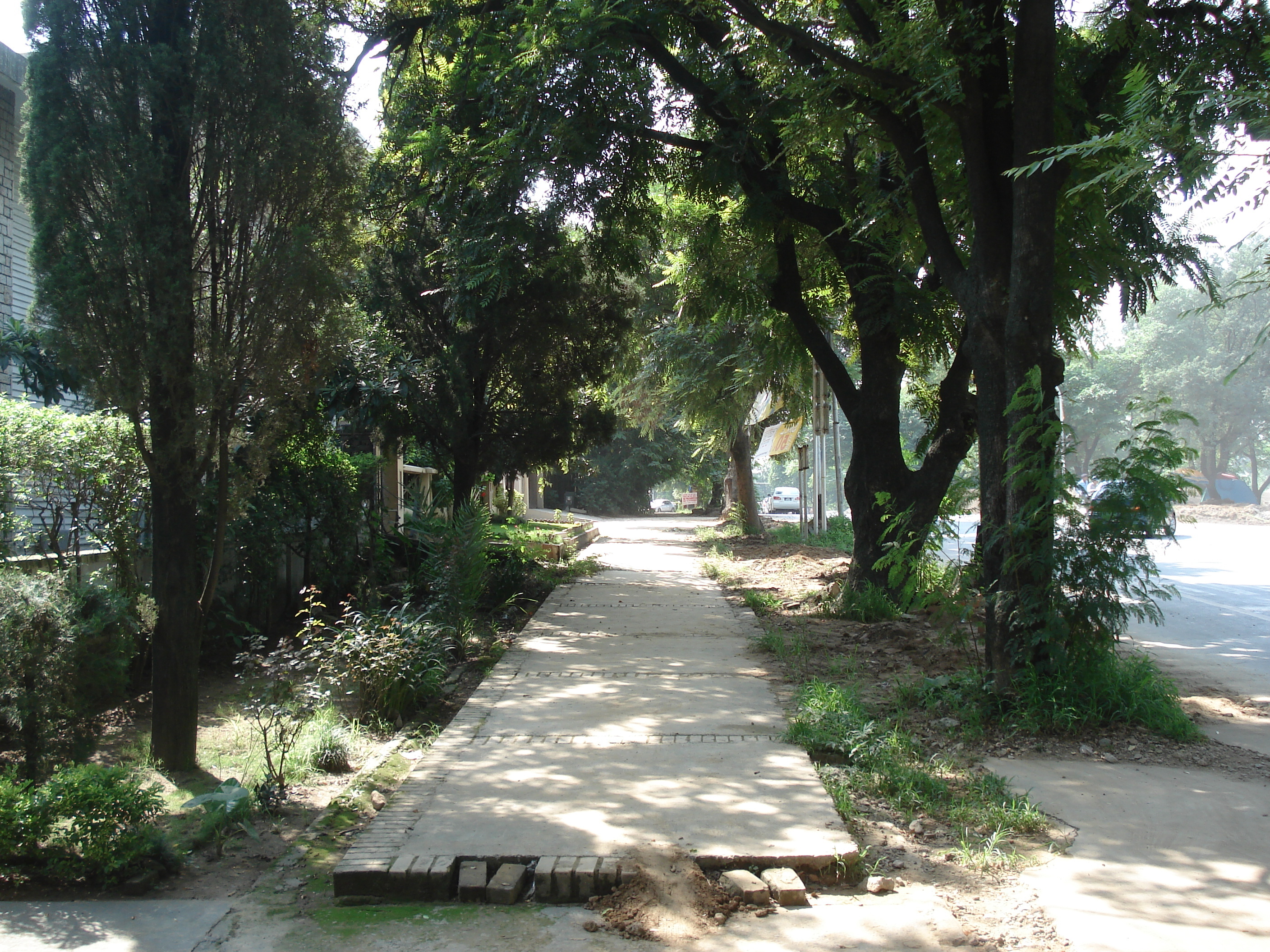 รูปถ่าย ปากีสถาน(Pakistan) อิสลามาแบด(Islamabad) 2006-08 7