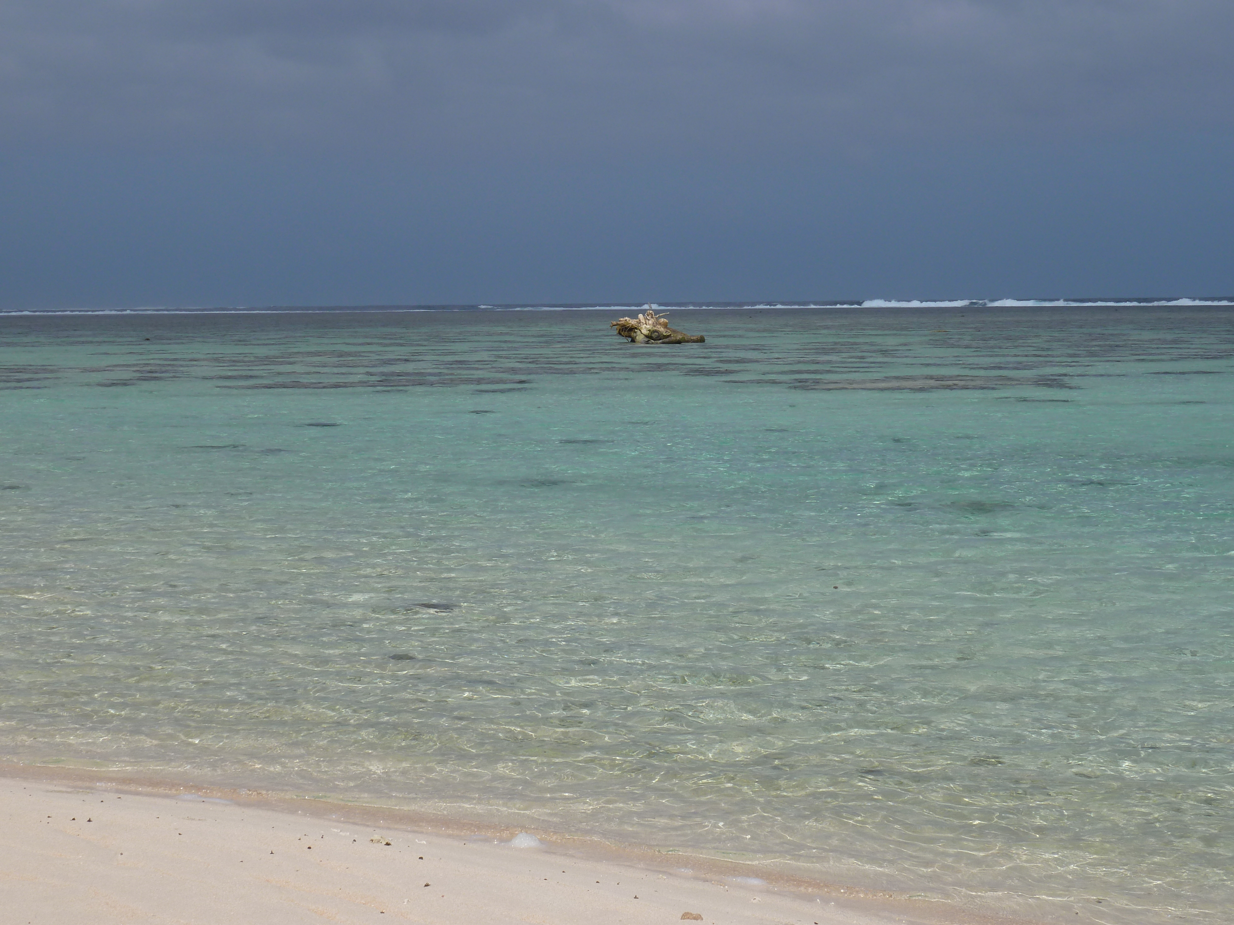 รูปถ่าย ฟิจิ(Fiji) ถนนจากนาดีไปนาตาโดลา(Nadi to Natadola road) 2010-05 65