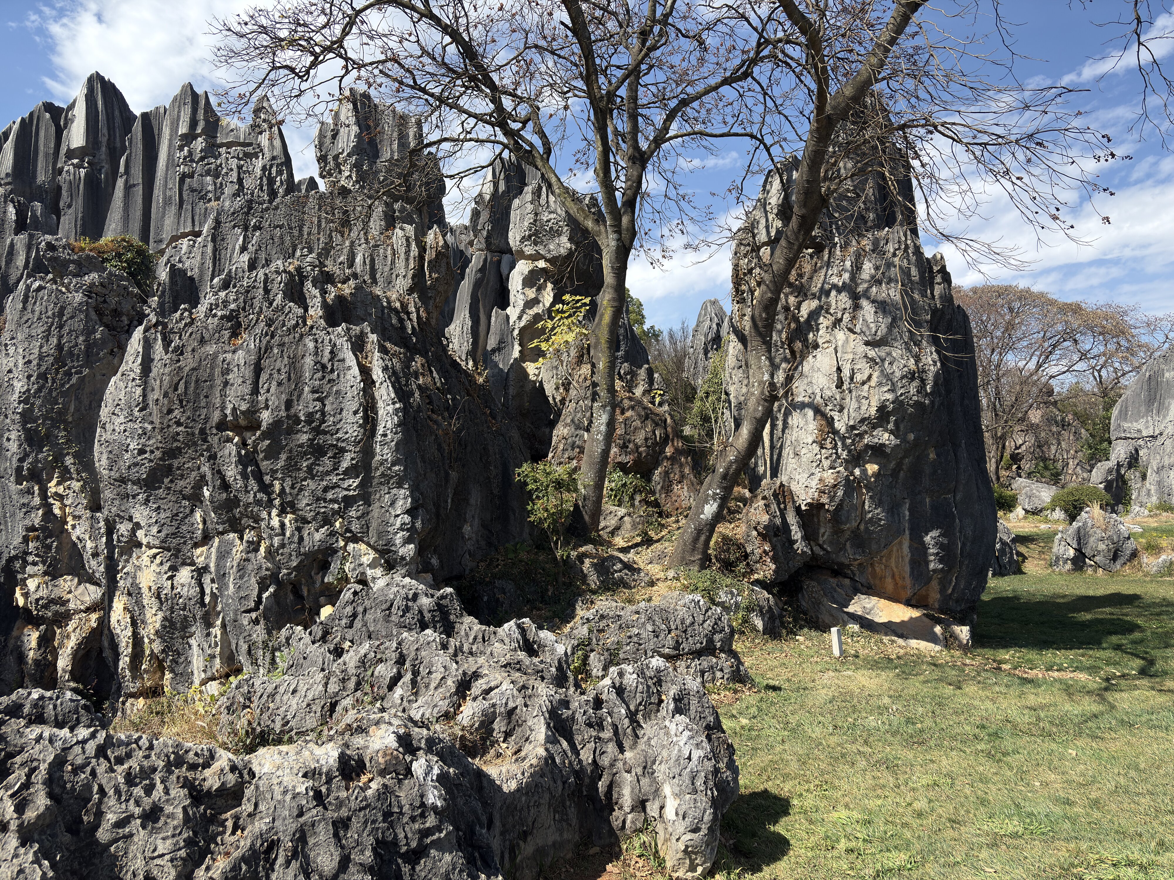 รูปถ่าย จีน(China) ป่าหินสือหลิน(Shilin Stone Forest) 2026-01 388