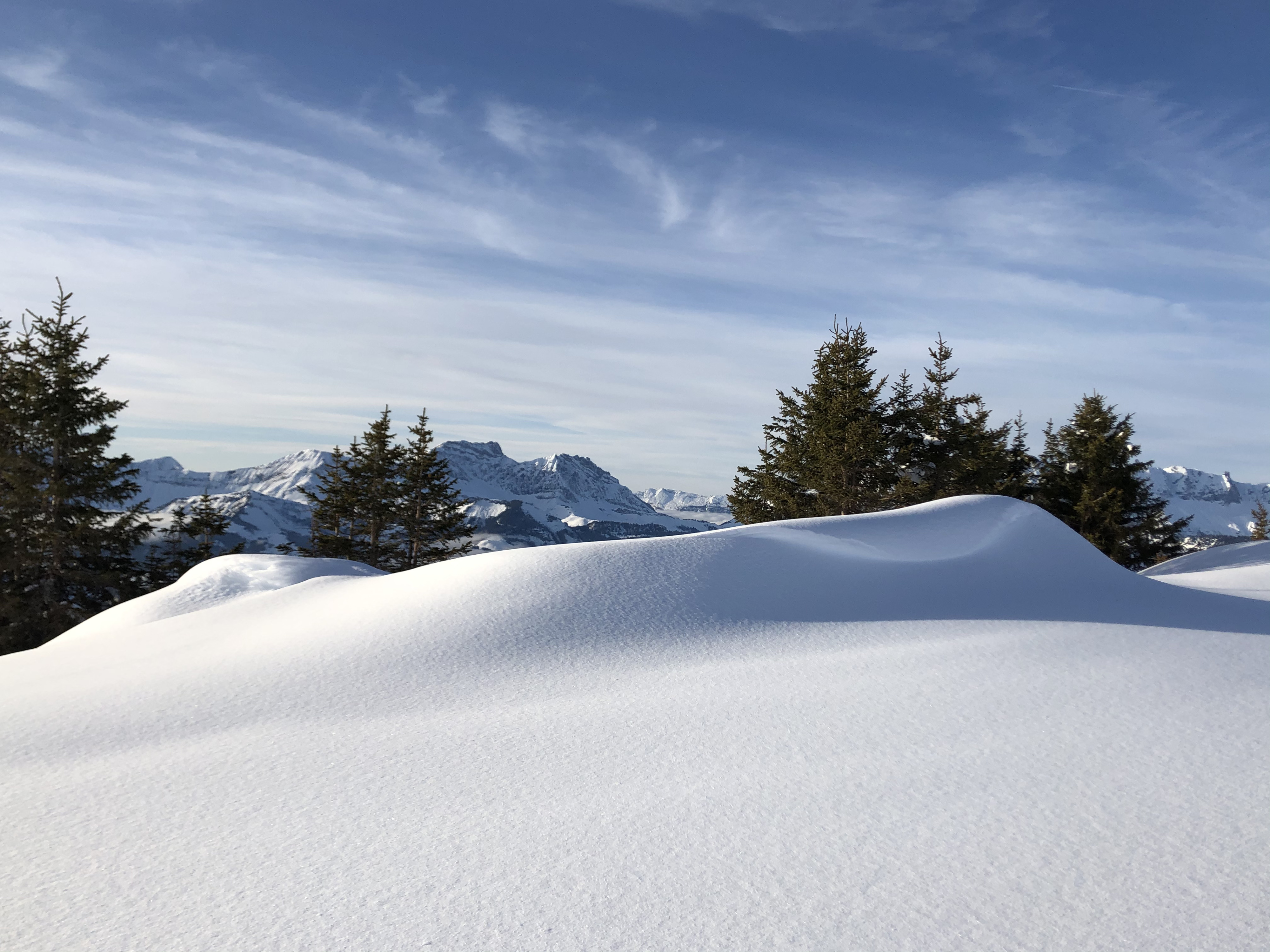 รูปถ่าย ฝรั่งเศส(France) ปรา-ซูร์-อาร์ลี(Praz sur Arly) 2019-12 230
