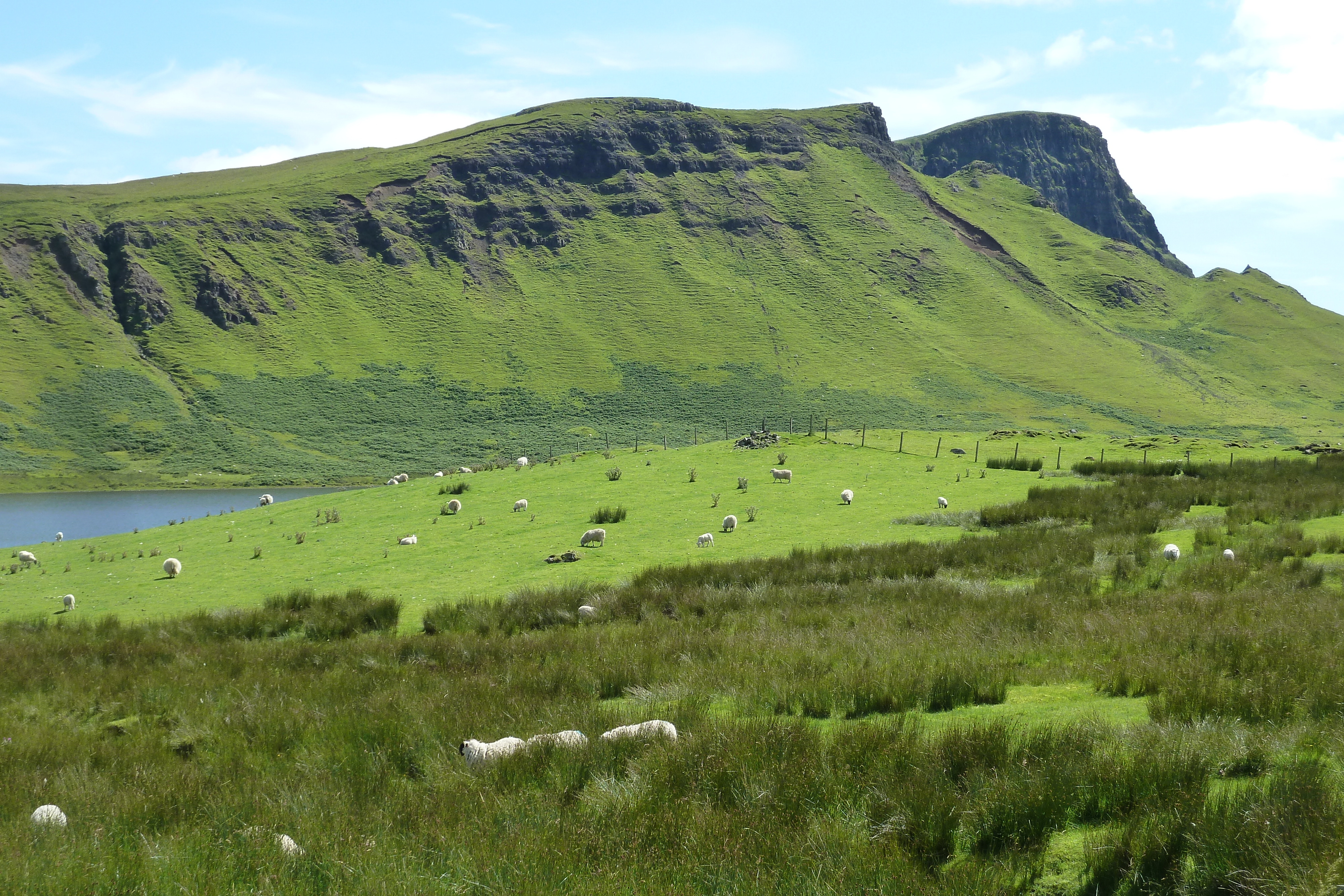 รูปถ่าย อังกฤษ(United Kingdom) เกาะสกาย(Skye) แหลมนีสต์พอยต์(Neist Point) 2011-07 56