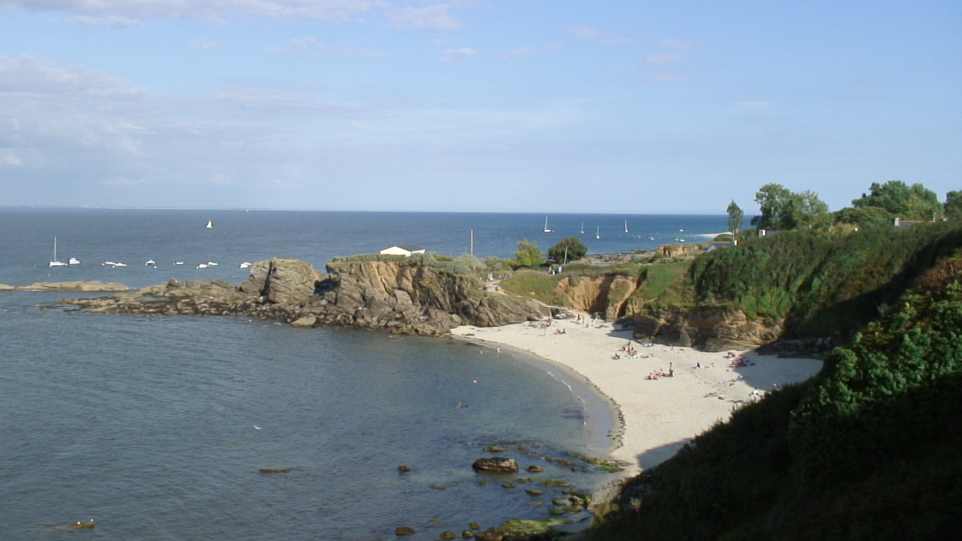 รูปถ่าย ฝรั่งเศส(France) กวัว(Groix) 2005-08 3