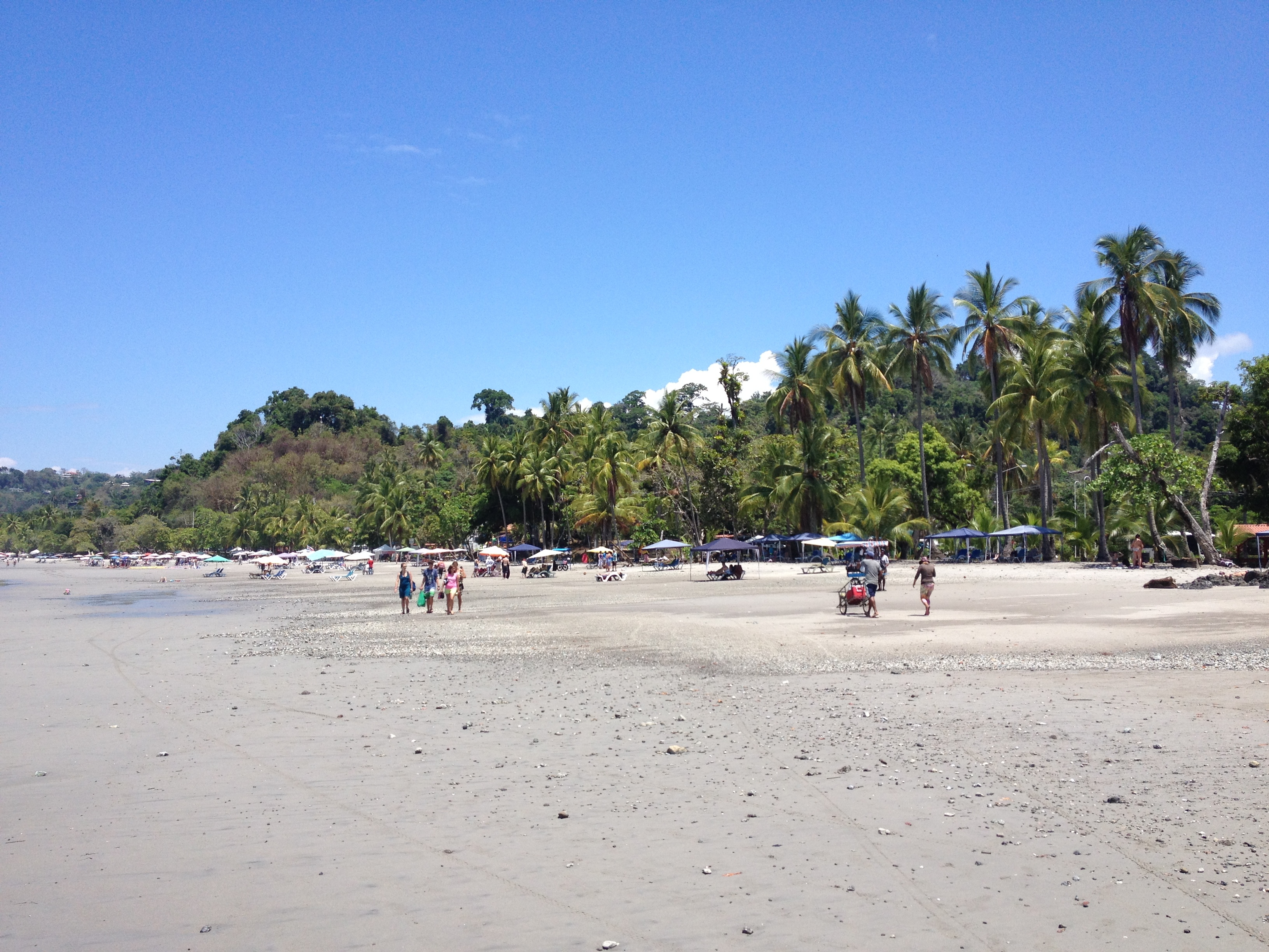 รูปถ่าย คอสตาริกา(Costa Rica) มานวยล์อันโตนีโอ(Manuel Antonio) 2015-03 439