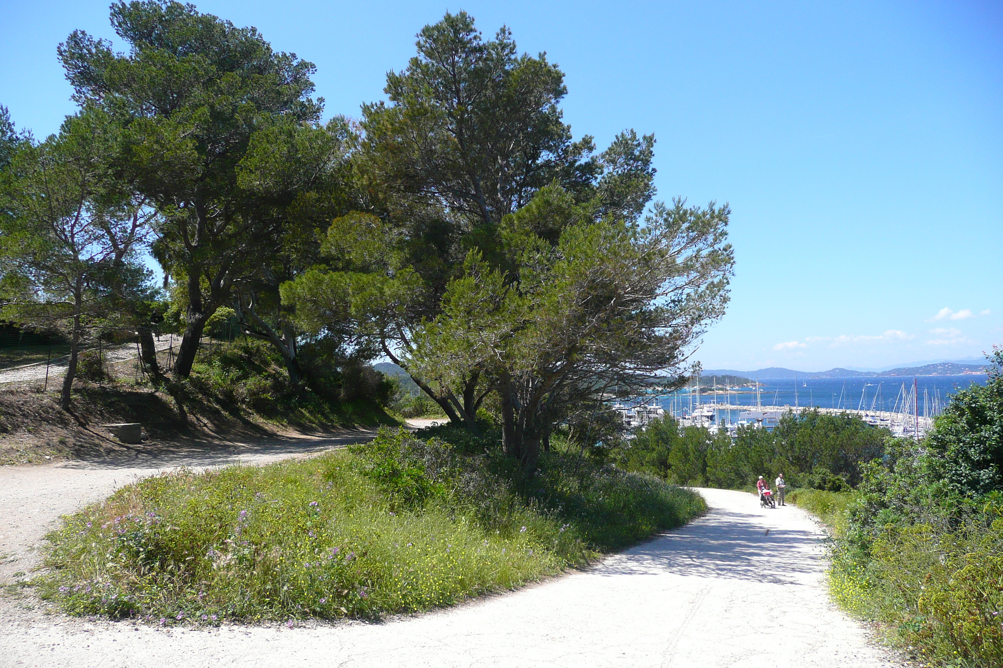 รูปถ่าย ฝรั่งเศส(France) เกาะปอร์เกอรอล(Porquerolles Island) แหลมแบร์ลีเยอ(Bearlieu Point) 2008-05 4