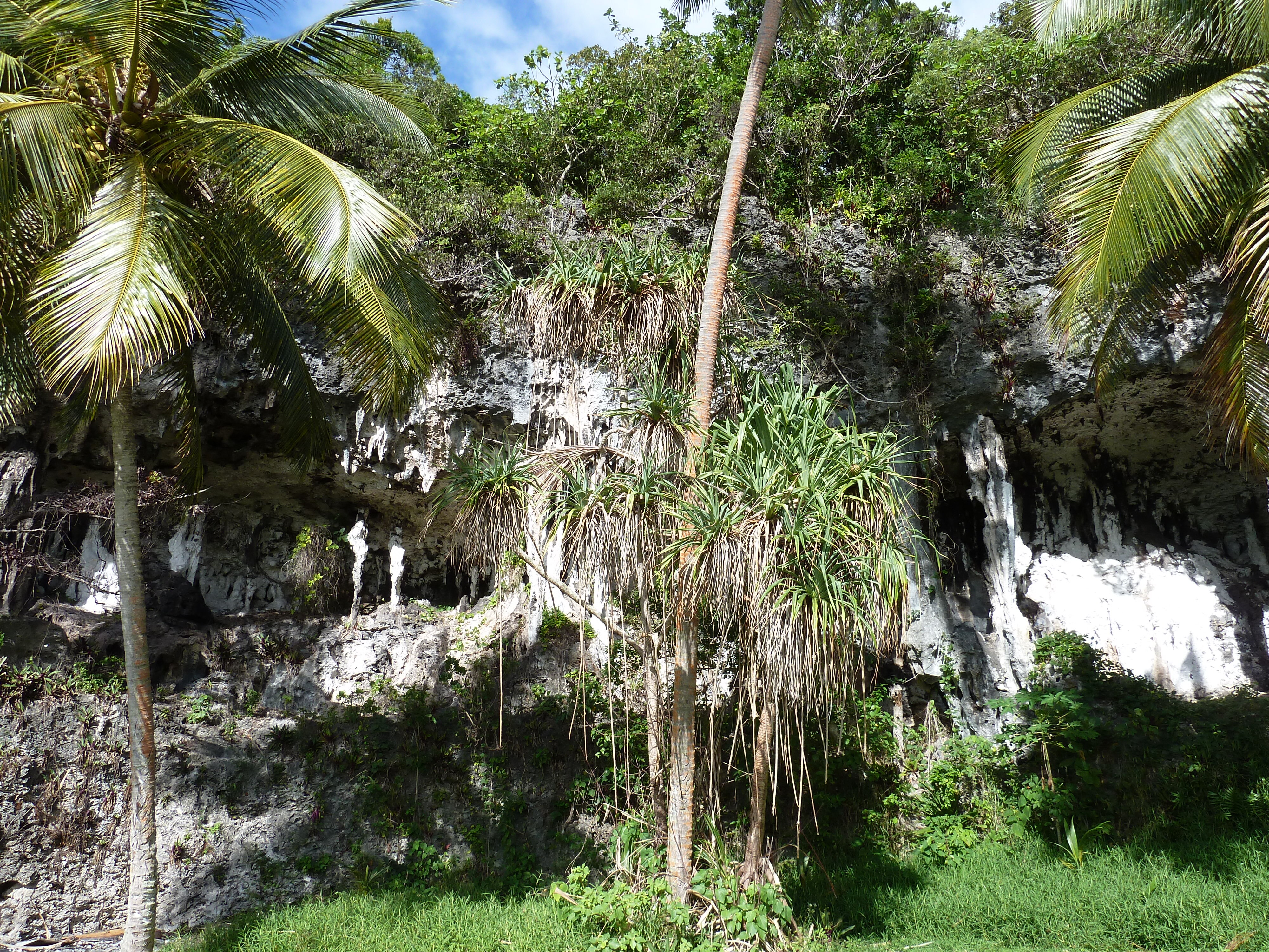 รูปถ่าย นิวแคลิโดเนีย(New Caledonia) เกาะลีฟู(Lifou) โยซิป(Josip) 2010-05 29