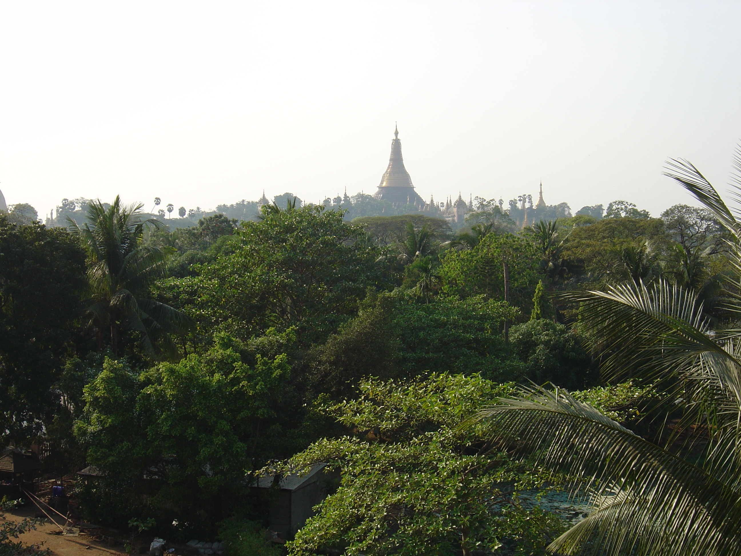 รูปถ่าย พม่า(Myanmar) ย่างกุ้ง(Yangon) โรงแรมกันดอจีพาเลซ(Kandawgyi Palace Hotel) 2005-01 28