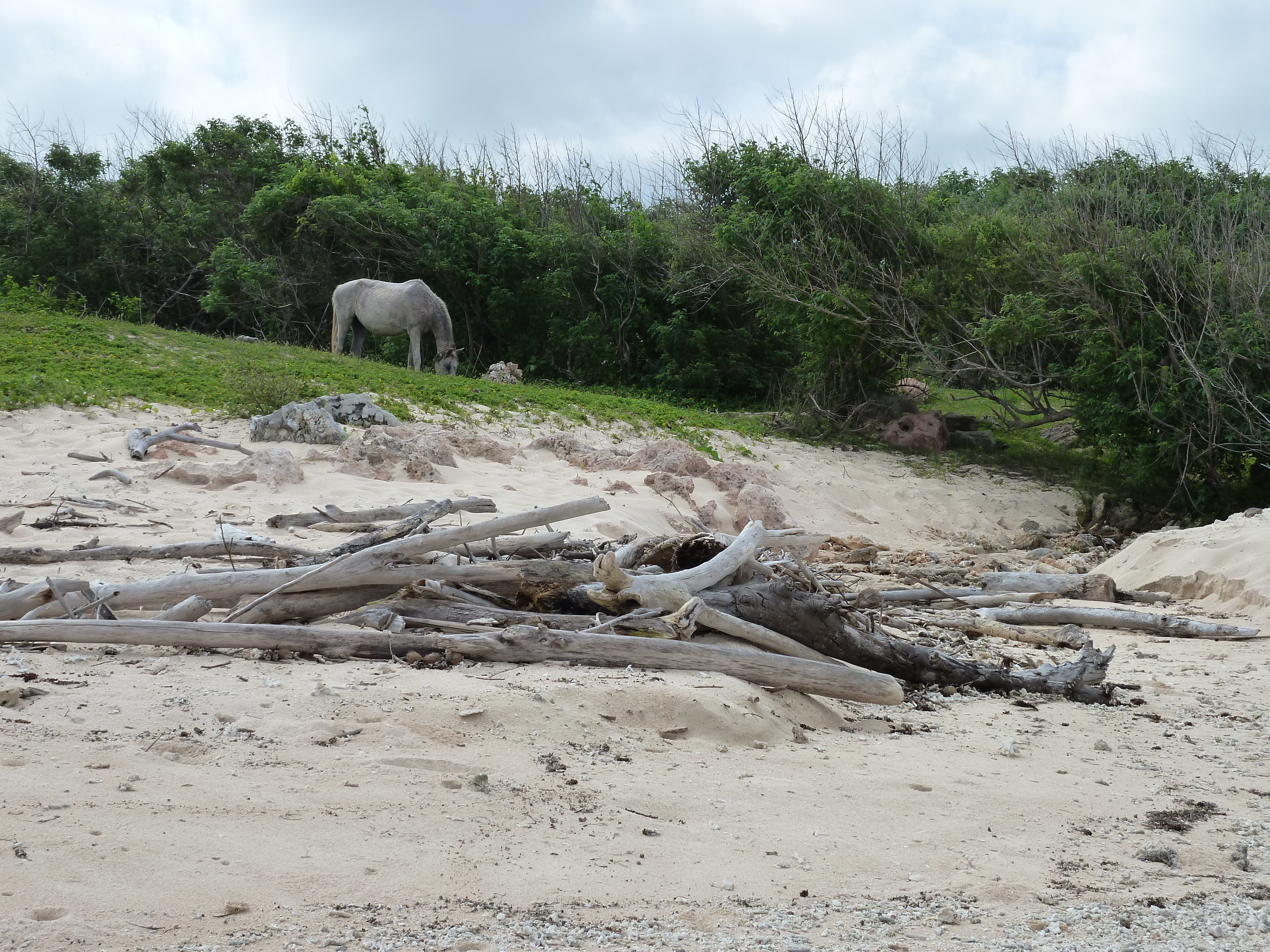 รูปถ่าย ฟิจิ(Fiji) ถนนจากนาดีไปนาตาโดลา(Nadi to Natadola road) 2010-05 76