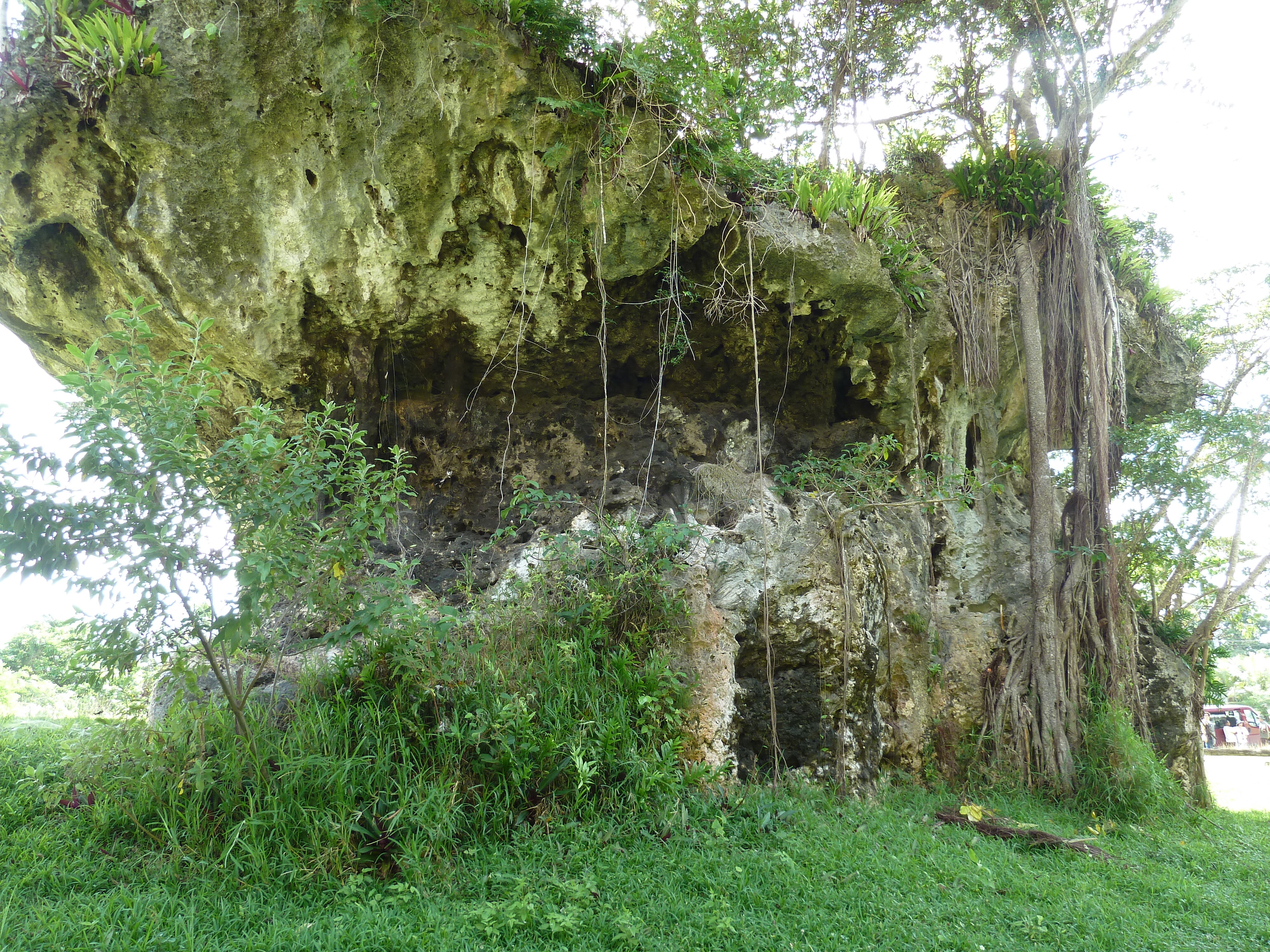 รูปถ่าย นิวแคลิโดเนีย(New Caledonia) เกาะลีฟู(Lifou) โยซิป(Josip) 2010-05 7