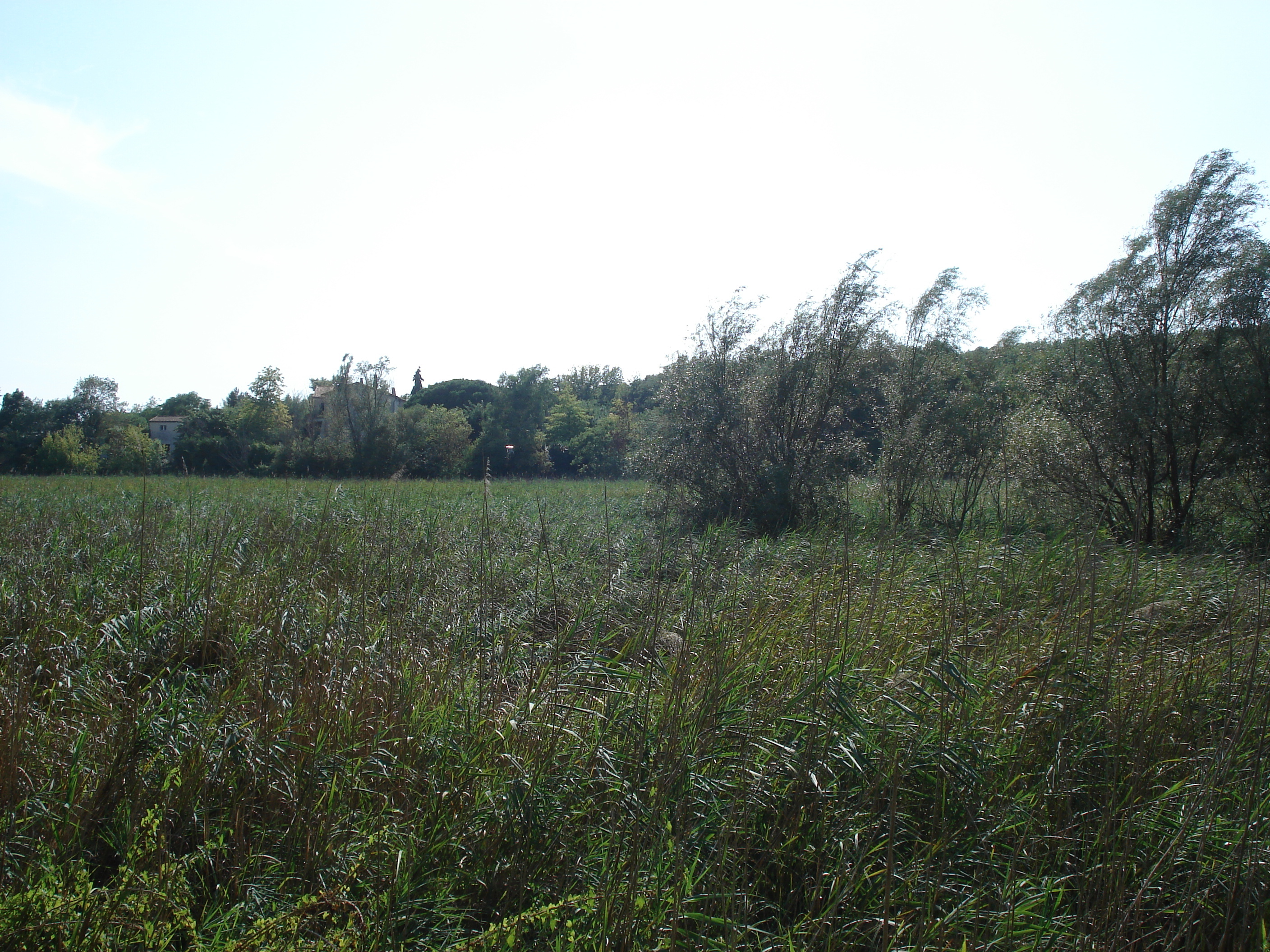 รูปถ่าย ฝรั่งเศส(France) วีลเนิฟ-ลูแบ(Villeneuve Loubet) สวนโวเกรอนีเย(Parc de Vaugrenier) 2006-09 0