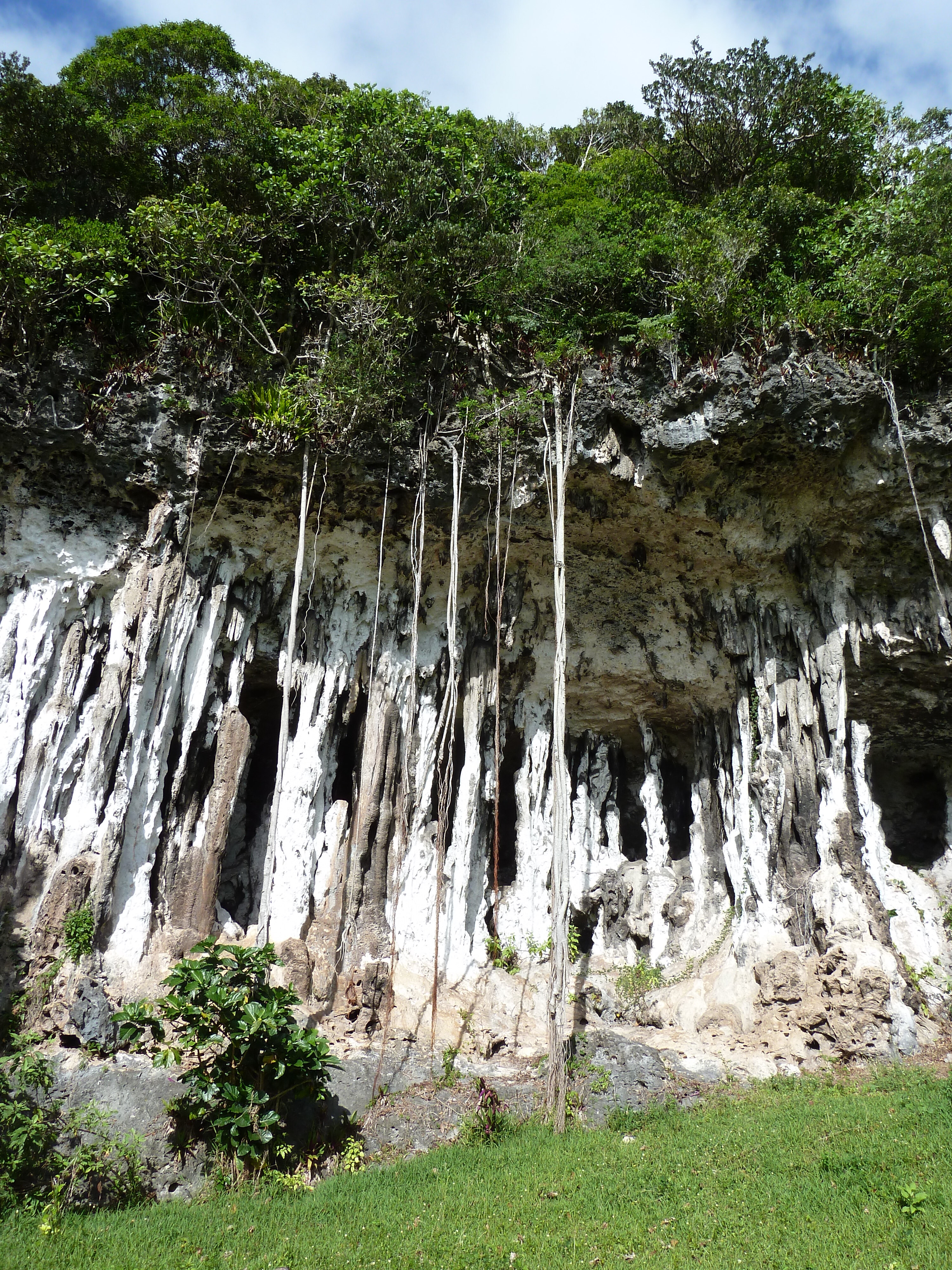 รูปถ่าย นิวแคลิโดเนีย(New Caledonia) เกาะลีฟู(Lifou) โยซิป(Josip) 2010-05 12
