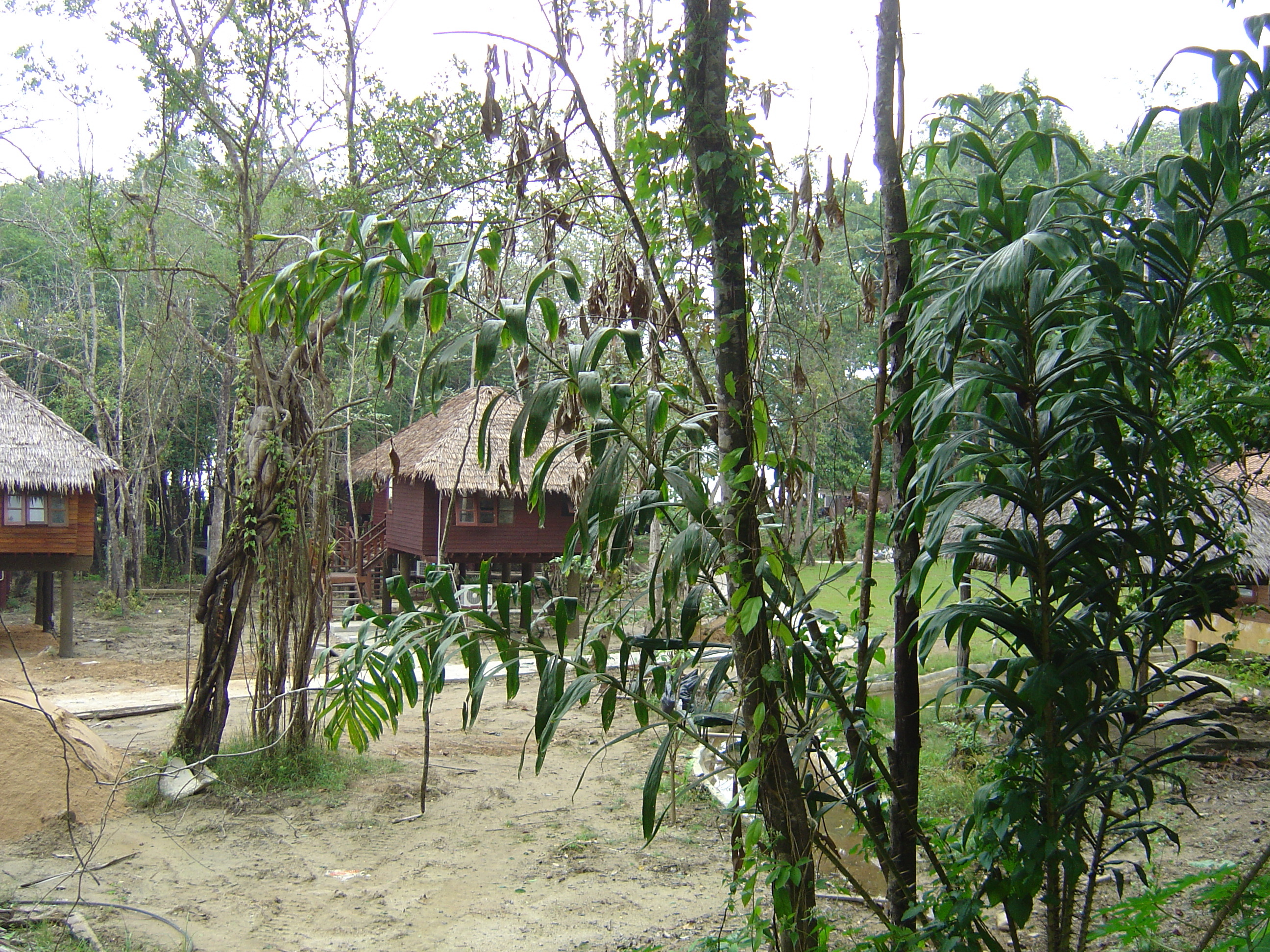 รูปถ่าย ไทย(Thailand) เขาหลัก(Khao Lak) โรงแรมสิมิลานา(Similana Hotel) 2005-12 11