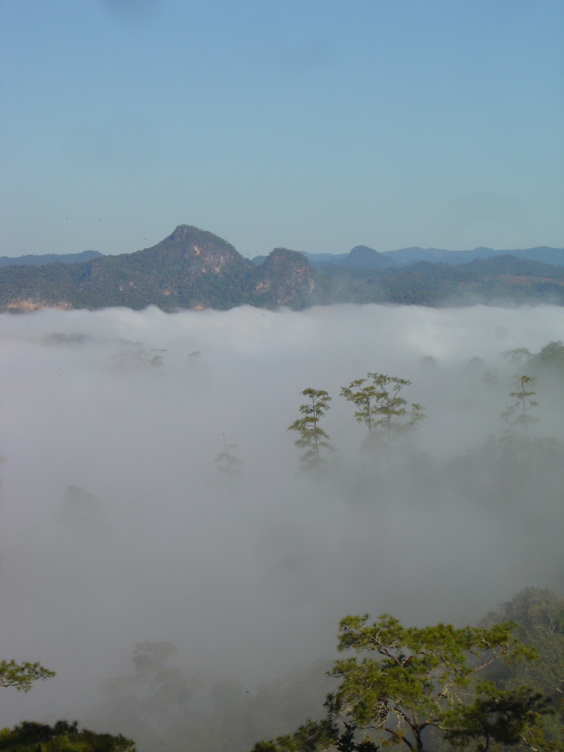 รูปถ่าย ไทย(Thailand) ปางมะผ้า(Pang Mapha) 2005-12 202