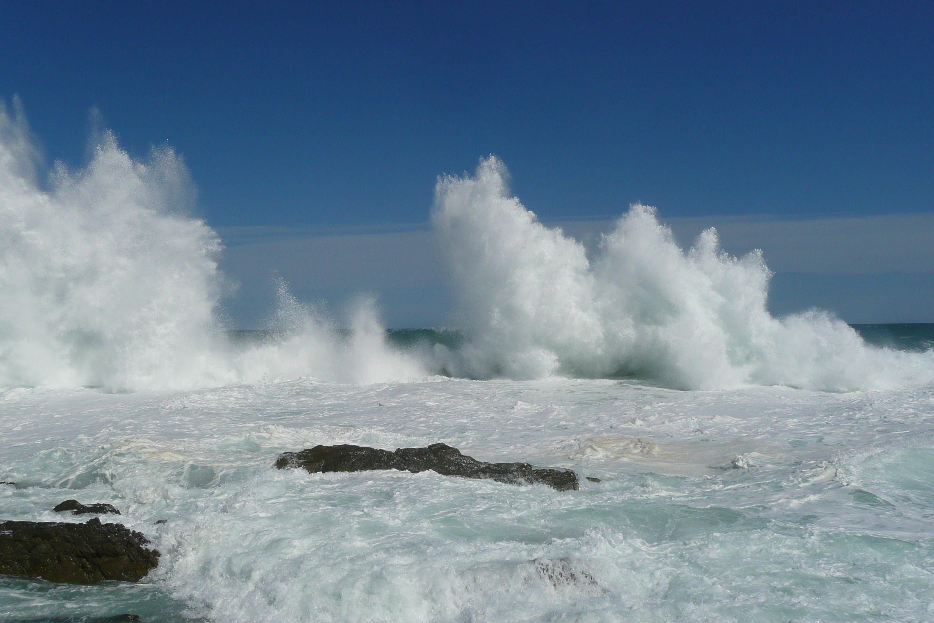 รูปถ่าย แอฟริกาใต้(South Africa) อุทยานแห่งชาติซิตซิคัมมา(Tsitsikamma National Park) 2008-09 96