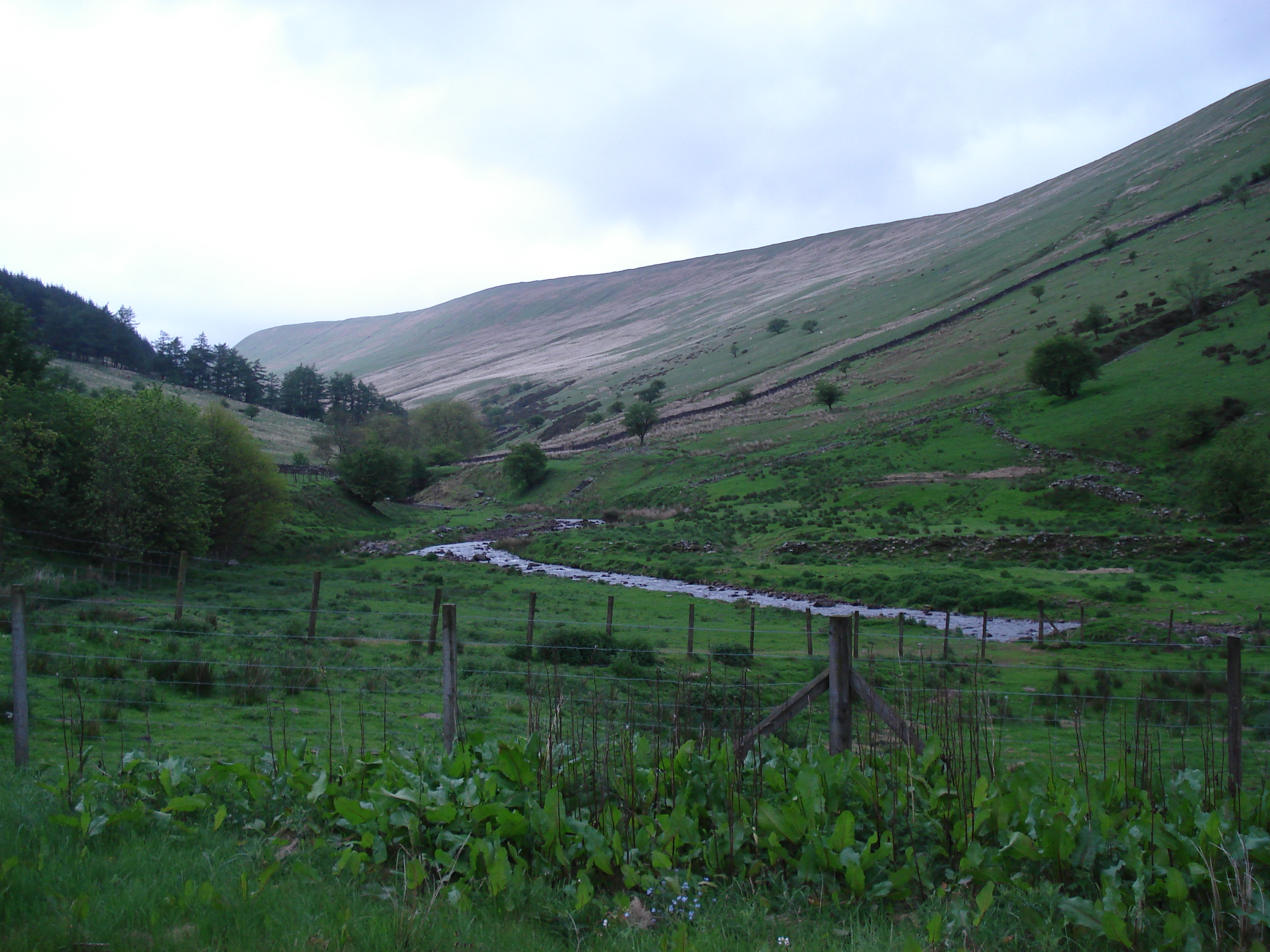 รูปถ่าย อังกฤษ(United Kingdom) อุทยานแห่งชาติเบรคอนบีคอนส์(Brecon Beacons National Park) 2006-05 8
