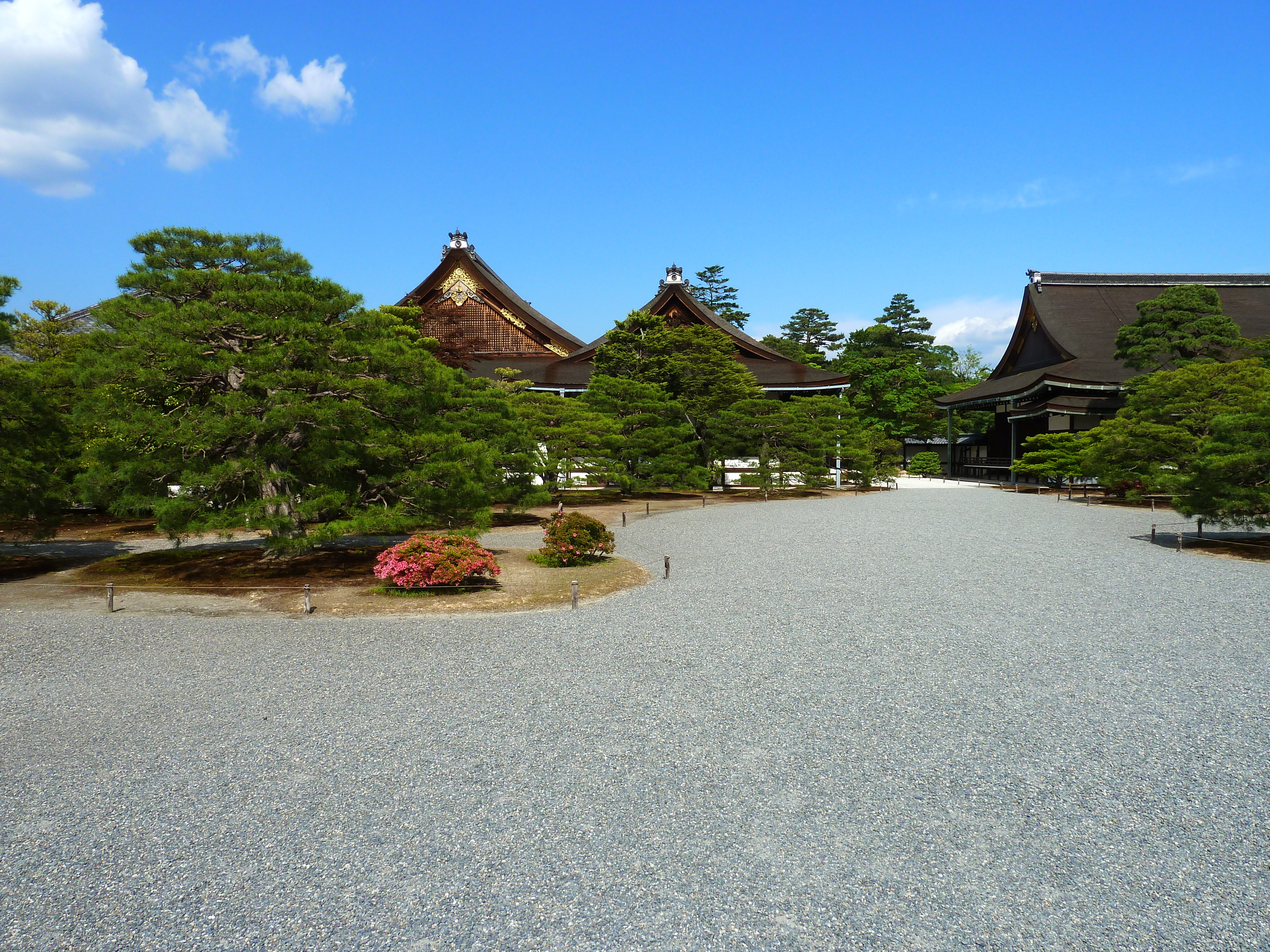 รูปถ่าย ญี่ปุ่น(Japan) เกียวโต(Kyoto) พระราชวังหลวงเกียวโต(Kyoto Imperial Palace) 2010-06 22