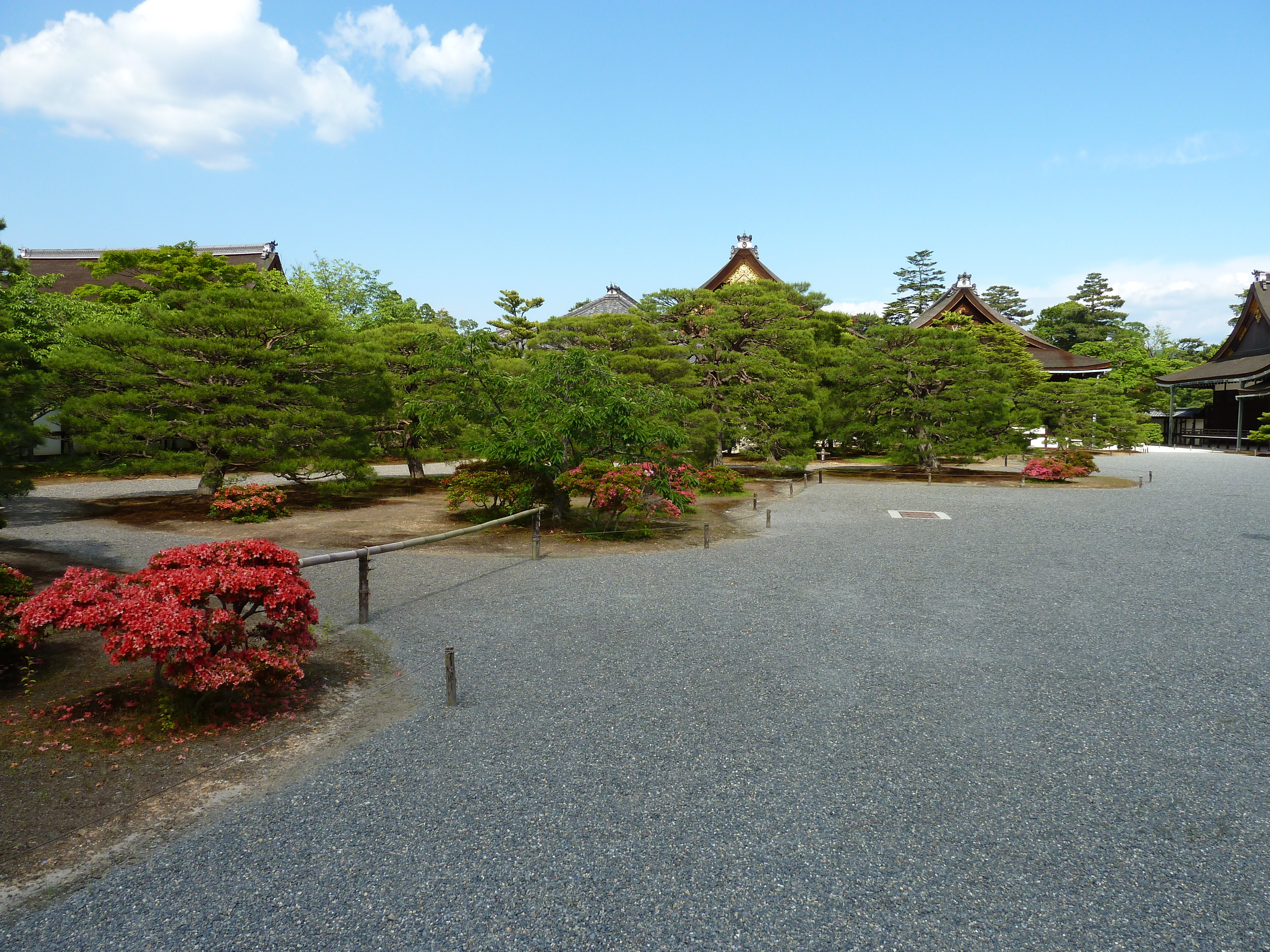 รูปถ่าย ญี่ปุ่น(Japan) เกียวโต(Kyoto) พระราชวังหลวงเกียวโต(Kyoto Imperial Palace) 2010-06 20