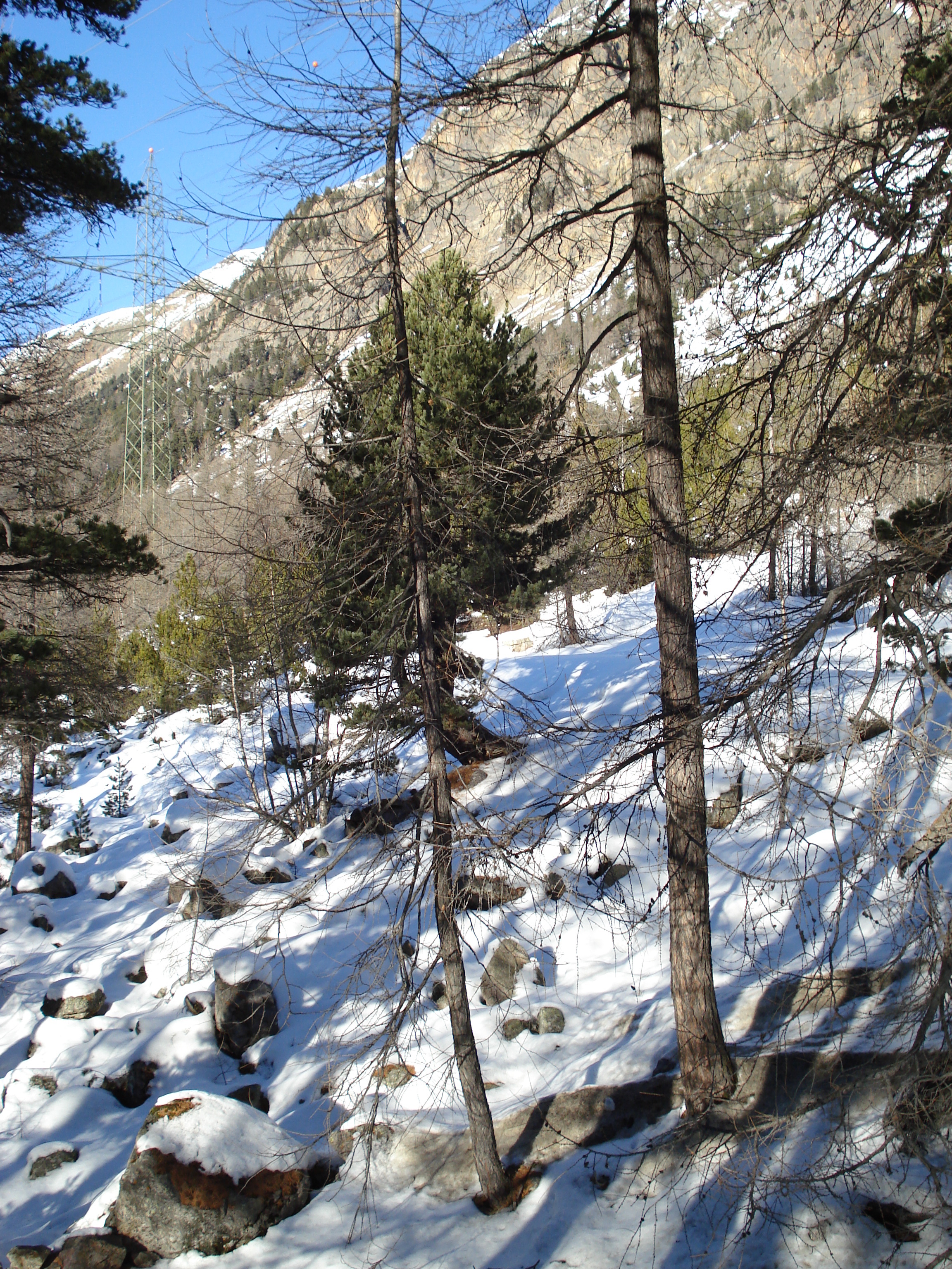รูปถ่าย สวิสเซอร์แลนด์(Switzerland) จากปอนเตรซีนาไปลาโกเบียนโก(From Pontresina to Lago Bianco) 2007-01 9