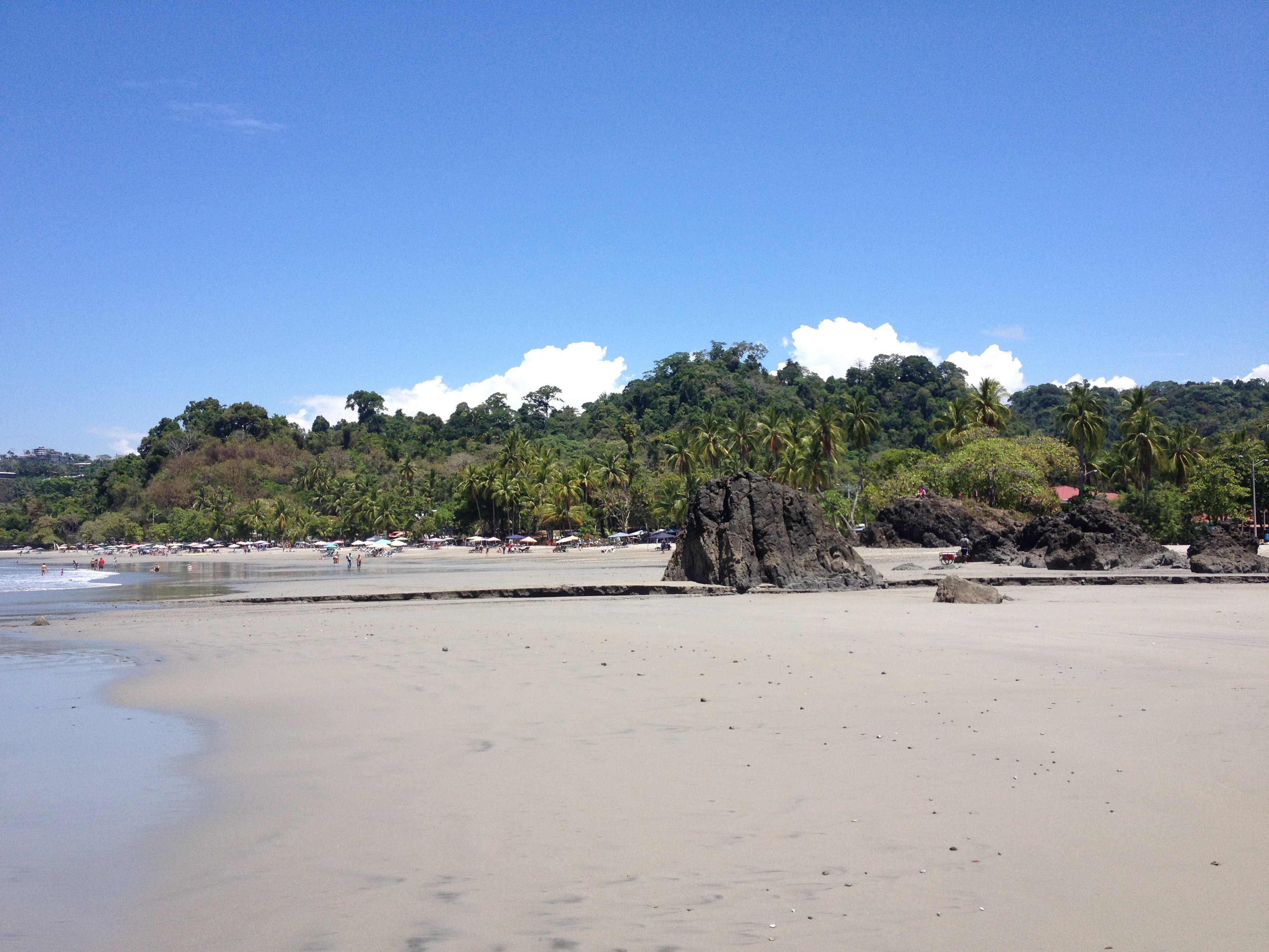 รูปถ่าย คอสตาริกา(Costa Rica) มานวยล์อันโตนีโอ(Manuel Antonio) 2015-03 105