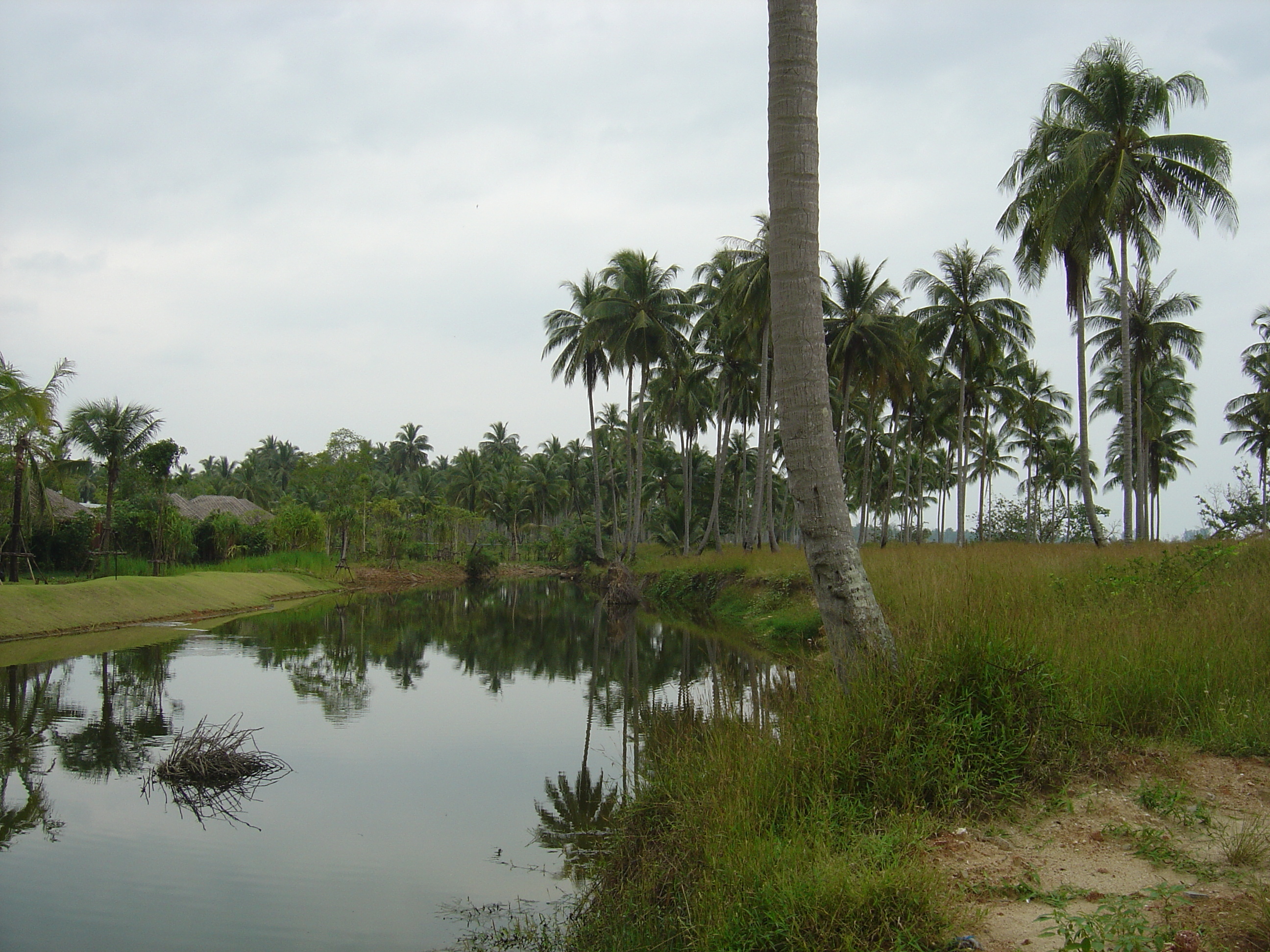 รูปถ่าย ไทย(Thailand) เขาหลัก(Khao Lak) หาดบางสัก(Bang Sak Beach) 2005-12 65