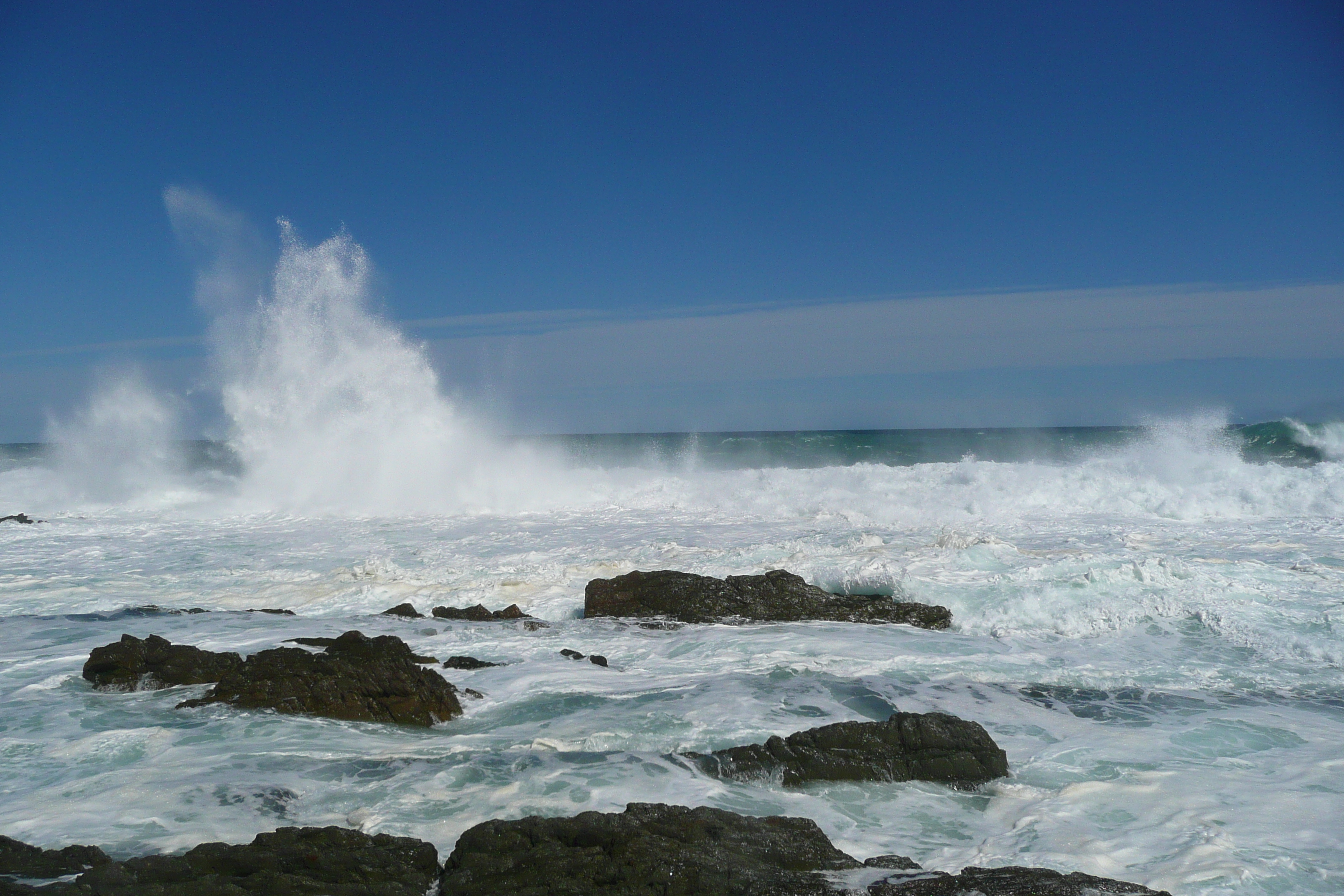 รูปถ่าย แอฟริกาใต้(South Africa) อุทยานแห่งชาติซิตซิคัมมา(Tsitsikamma National Park) 2008-09 419