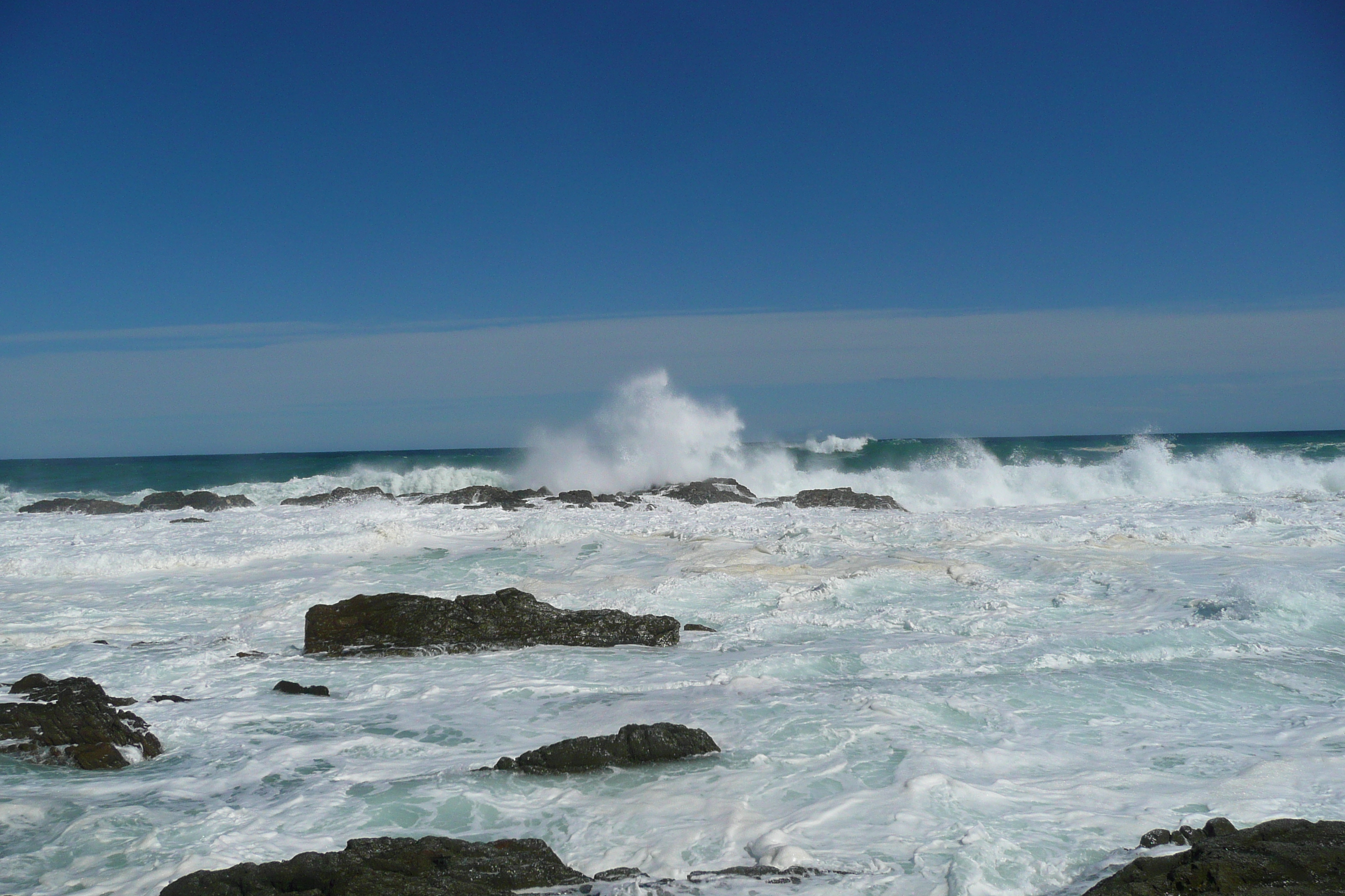 รูปถ่าย แอฟริกาใต้(South Africa) อุทยานแห่งชาติซิตซิคัมมา(Tsitsikamma National Park) 2008-09 381