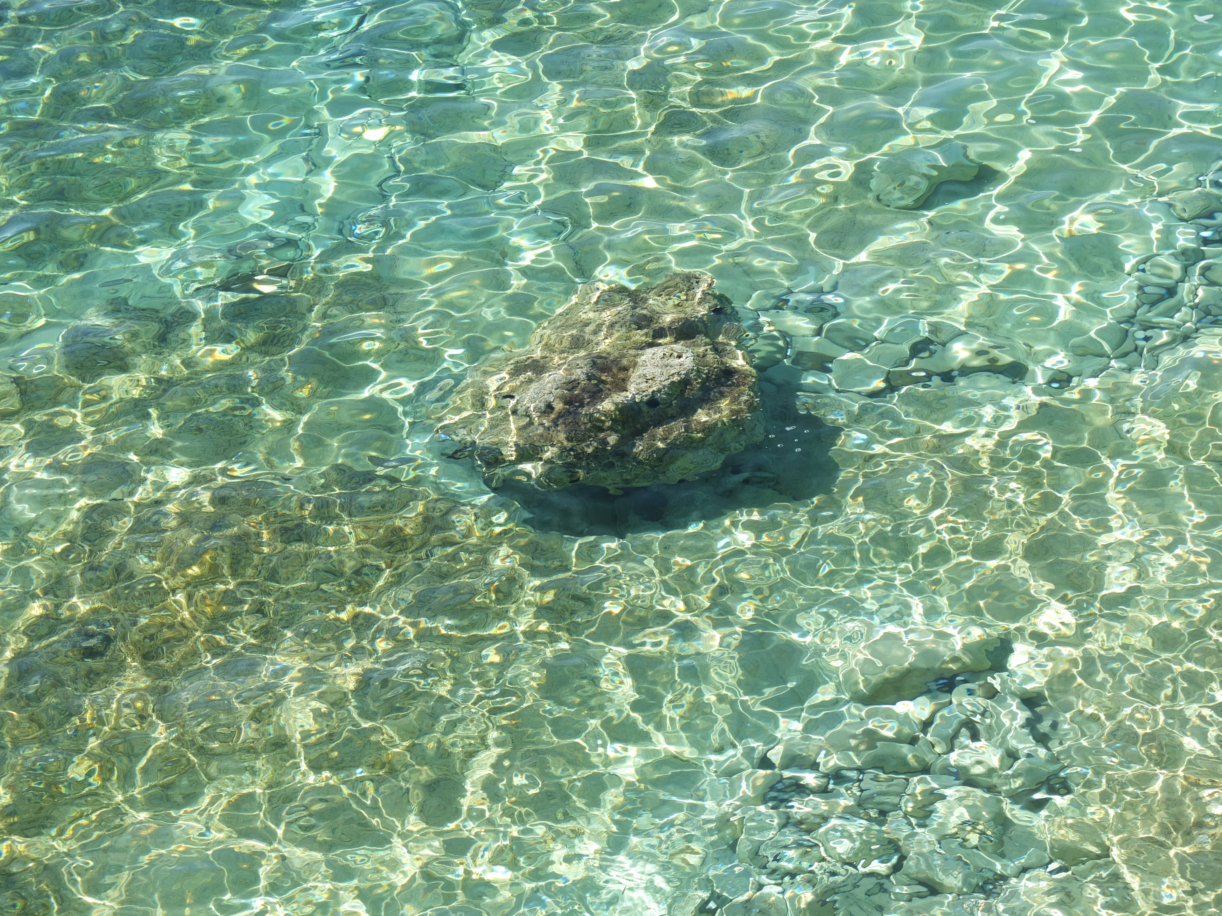 รูปถ่าย กรีก(Greece) เกาะคูโฟนิสเซีย(Koufonissia) 2014-07 632