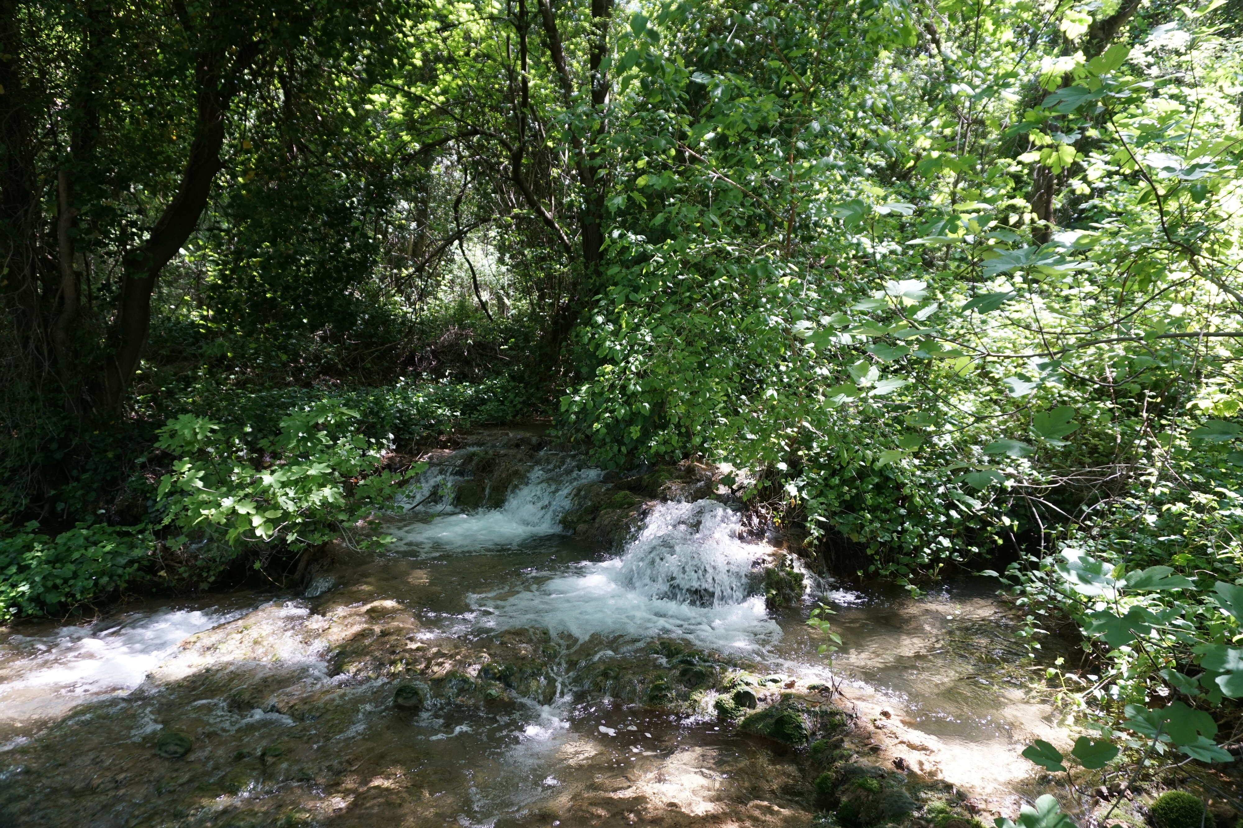 รูปถ่าย โครเอเชีย(Croatia) อุทยานแห่งชาติเคอร์คา(Krka National Park) 2016-04 115