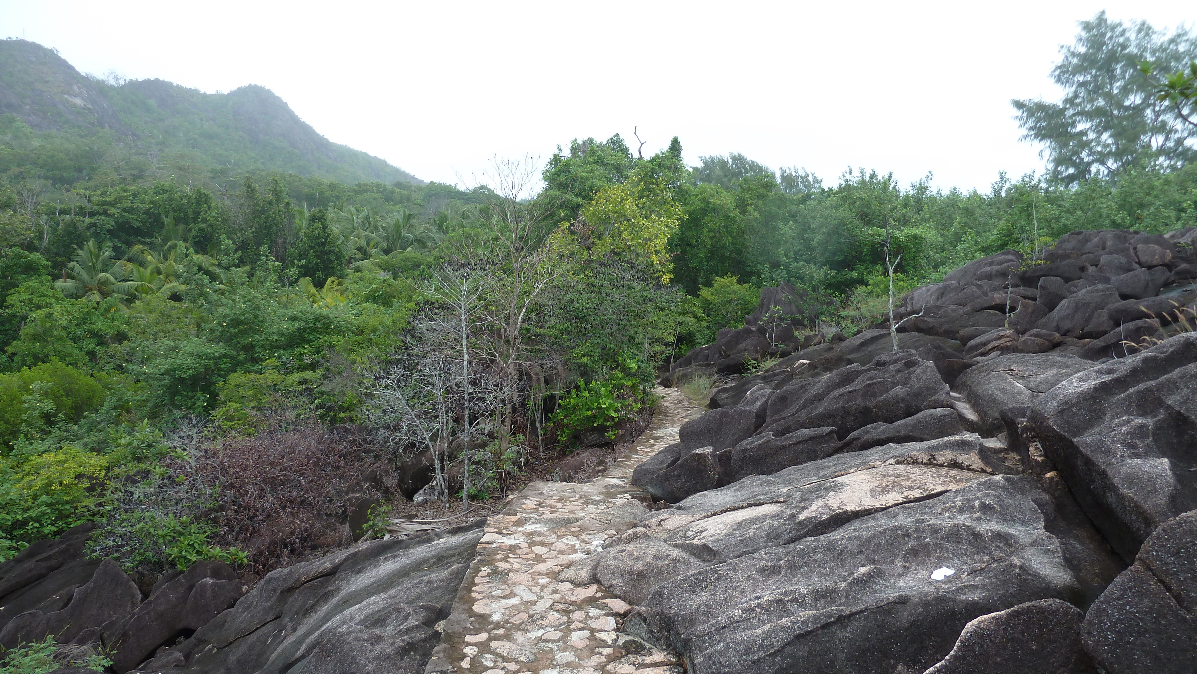 รูปถ่าย เซเชลส์(Seychelles) เกาะกูรีเยิซ(Curieuse) 2011-10 22