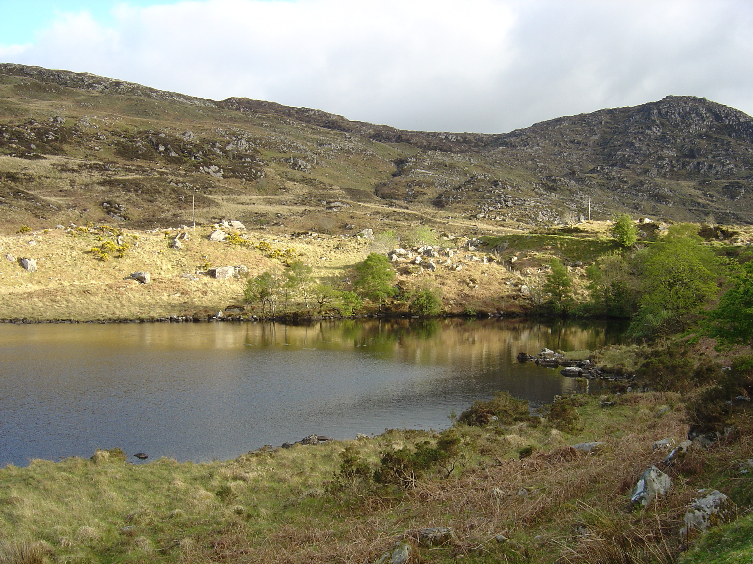 รูปถ่าย ไอร์แลนด์(Ireland) เคอร์รี่(Kerry) สวนสาธารณะคิลลาร์นีย์เนชั่นเนล(Killarney National Park) 2004-05 52