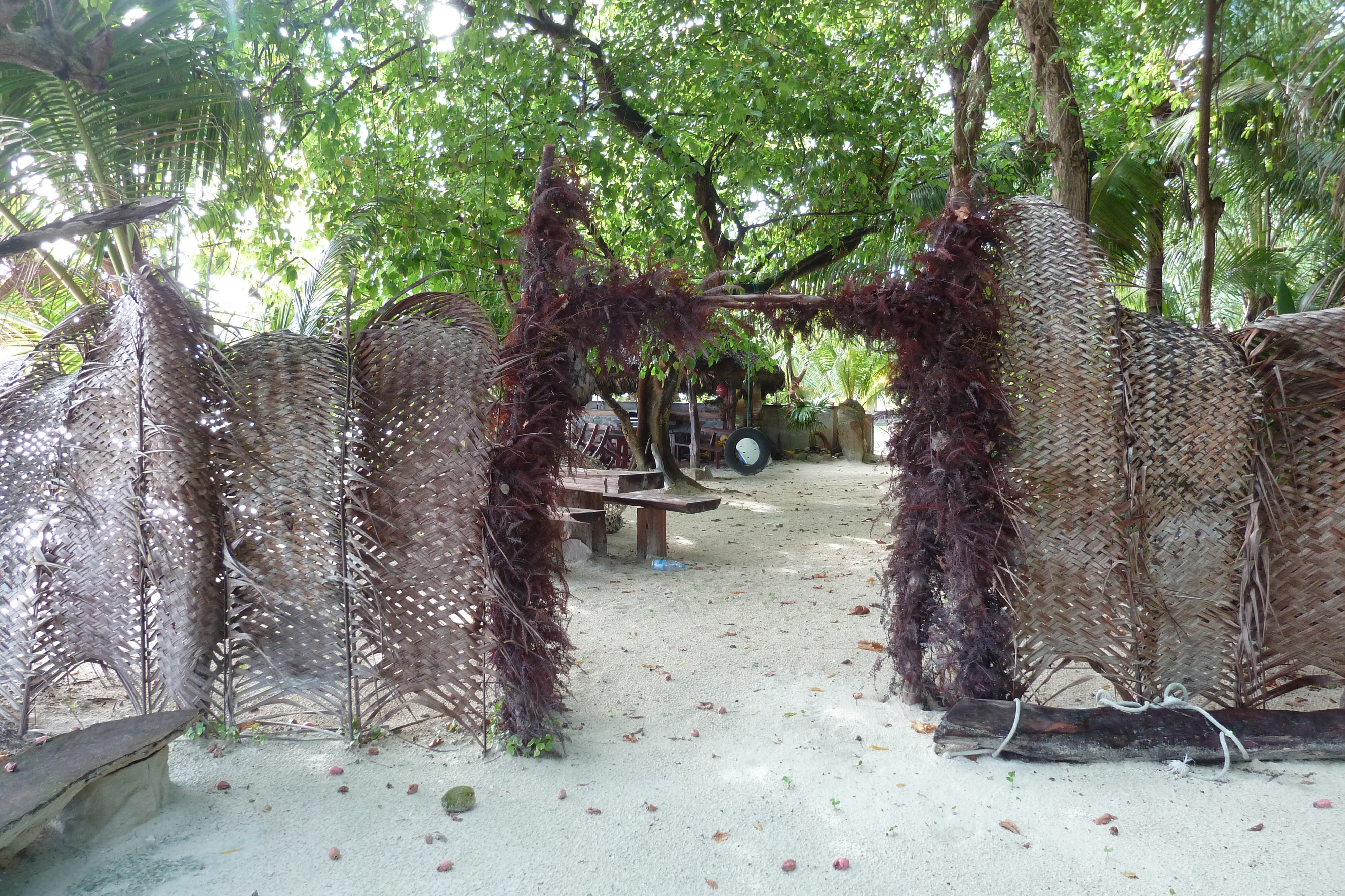 รูปถ่าย เซเชลส์(Seychelles) เกาะปราลิน(Praslin) 2011-10 188