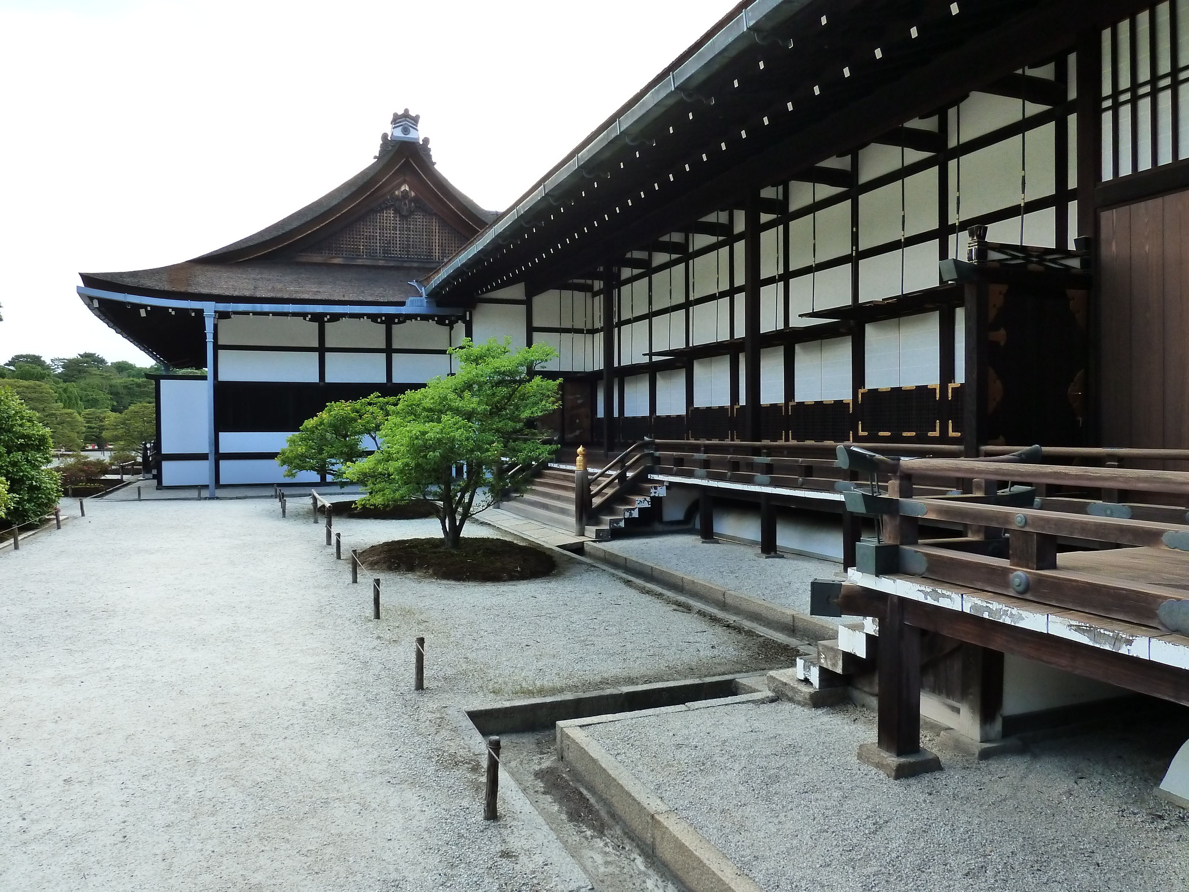 รูปถ่าย ญี่ปุ่น(Japan) เกียวโต(Kyoto) พระราชวังหลวงเกียวโต(Kyoto Imperial Palace) 2010-06 104