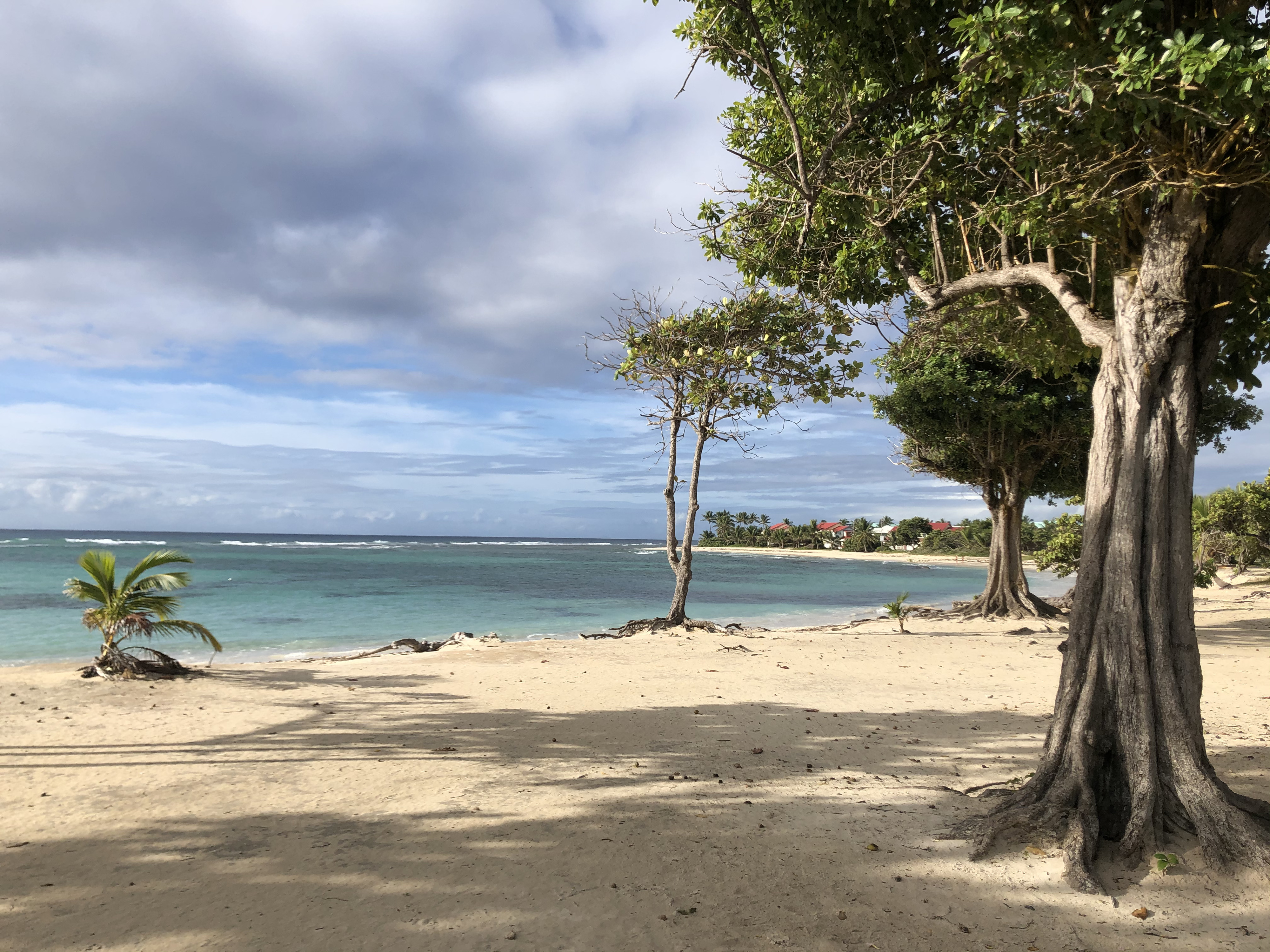 รูปถ่าย กวาเดอลูป(Guadeloupe) แซ็งฟร็องซัว(Saint Francois) 2021-02 9