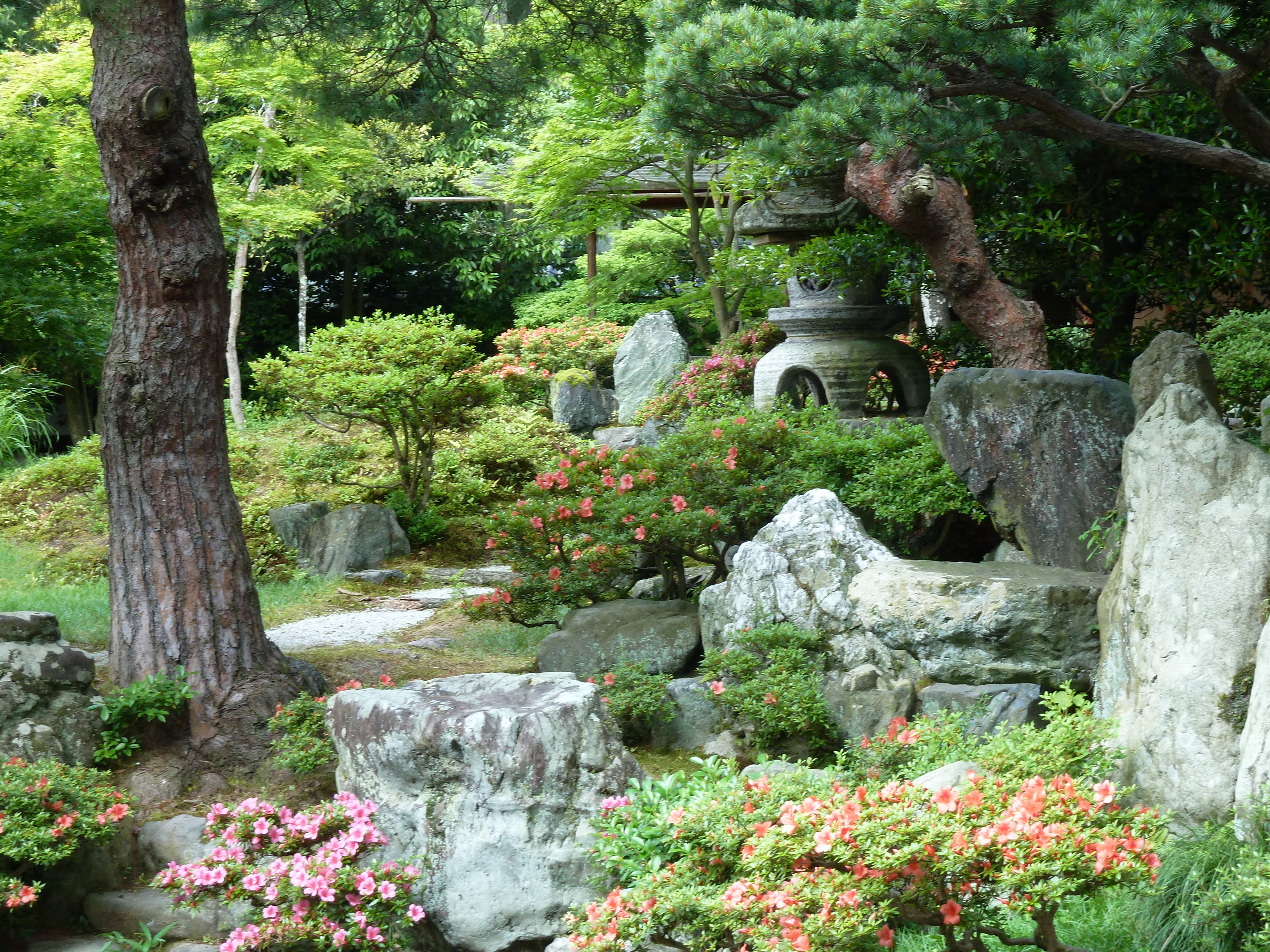 รูปถ่าย ญี่ปุ่น(Japan) เกียวโต(Kyoto) พระราชวังหลวงเกียวโต(Kyoto Imperial Palace) 2010-06 89