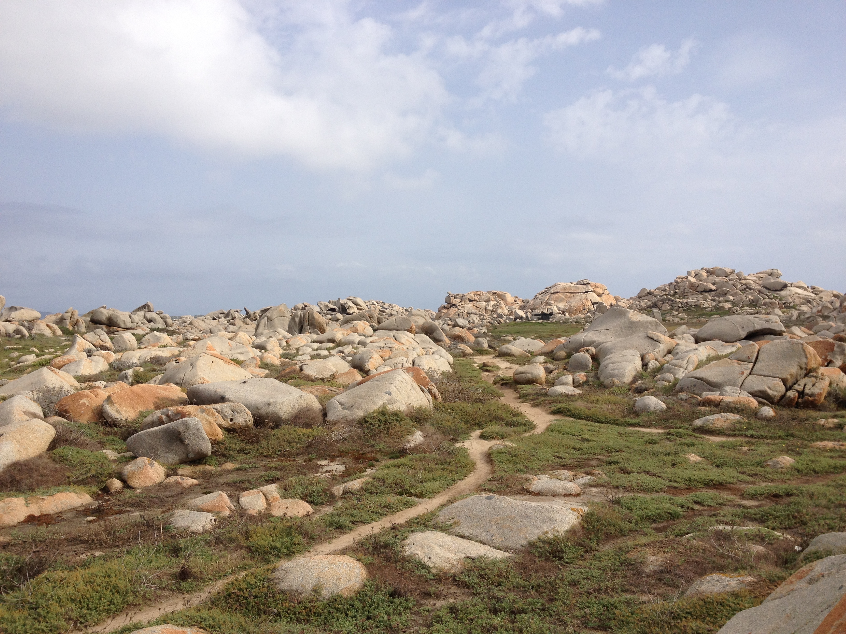 รูปถ่าย ฝรั่งเศส(France) คอร์สิคา(Corsica) หมู่เกาะลาเวซซี(Lavezzi Islands) 2012-09 63