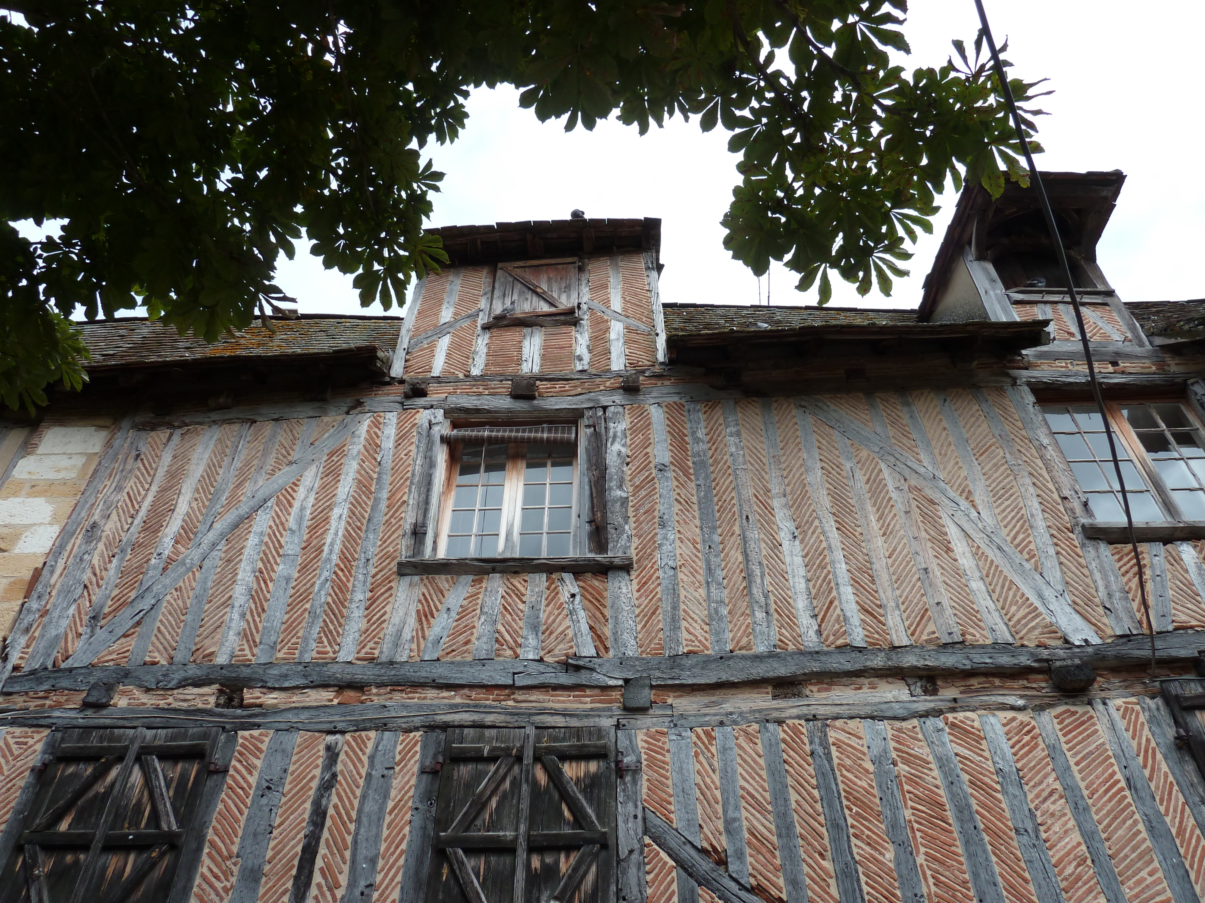 รูปถ่าย ฝรั่งเศส(France) แบร์เฌอรัก(Bergerac) 2010-08 63