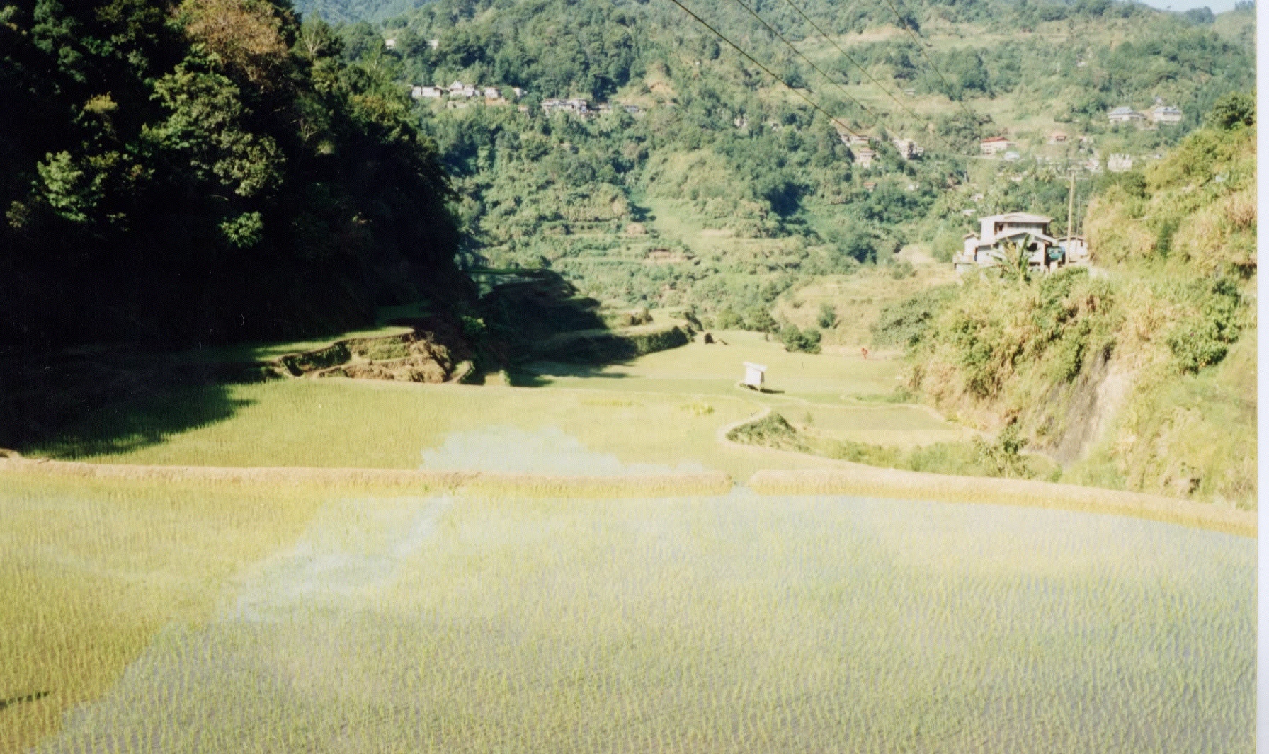 รูปถ่าย ฟิลิปปินส์(Philippines) บานาเวย์(Banaue) 1997-03 2